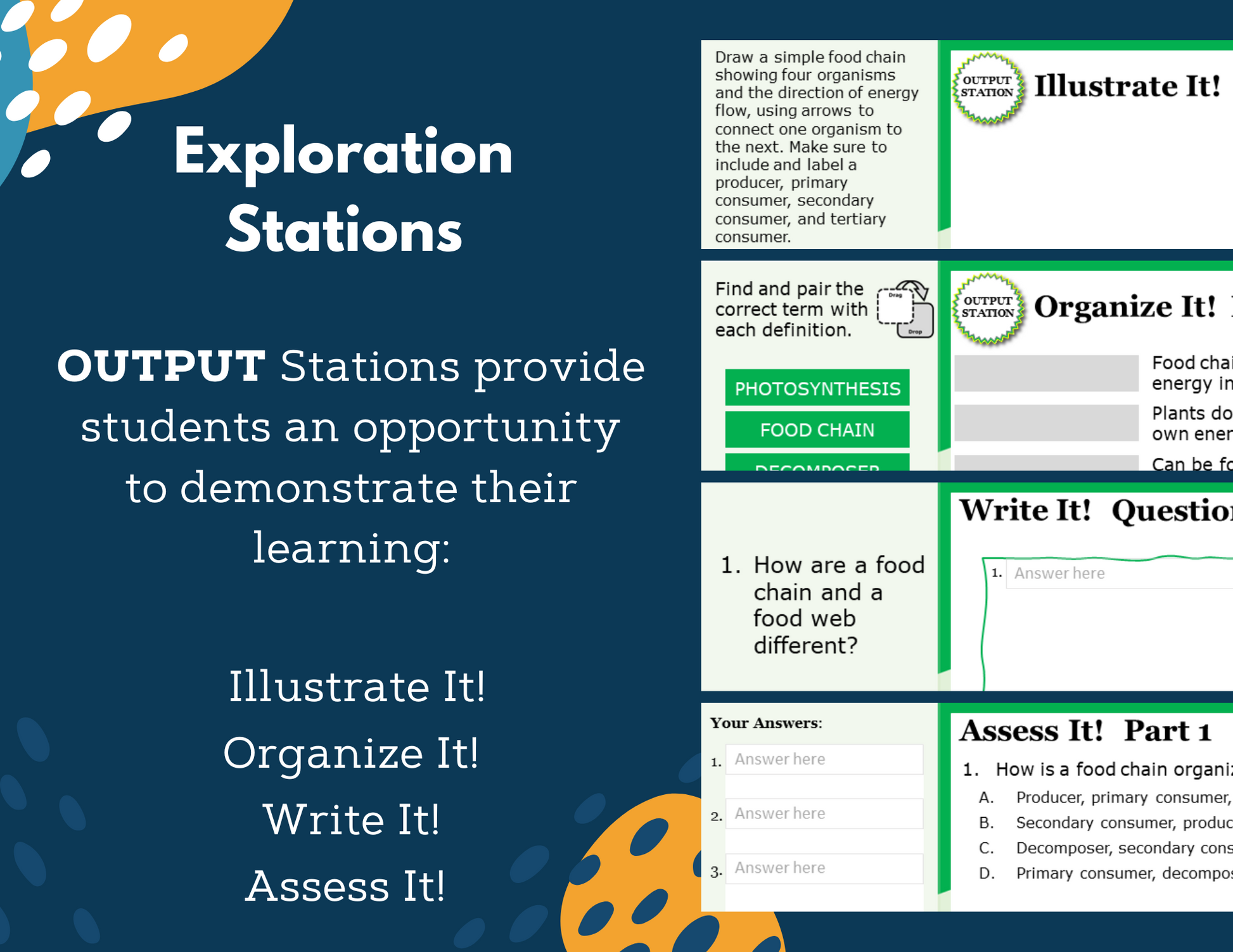 Energy in Ecosystems - Complete Lesson Plan - 5th Grade