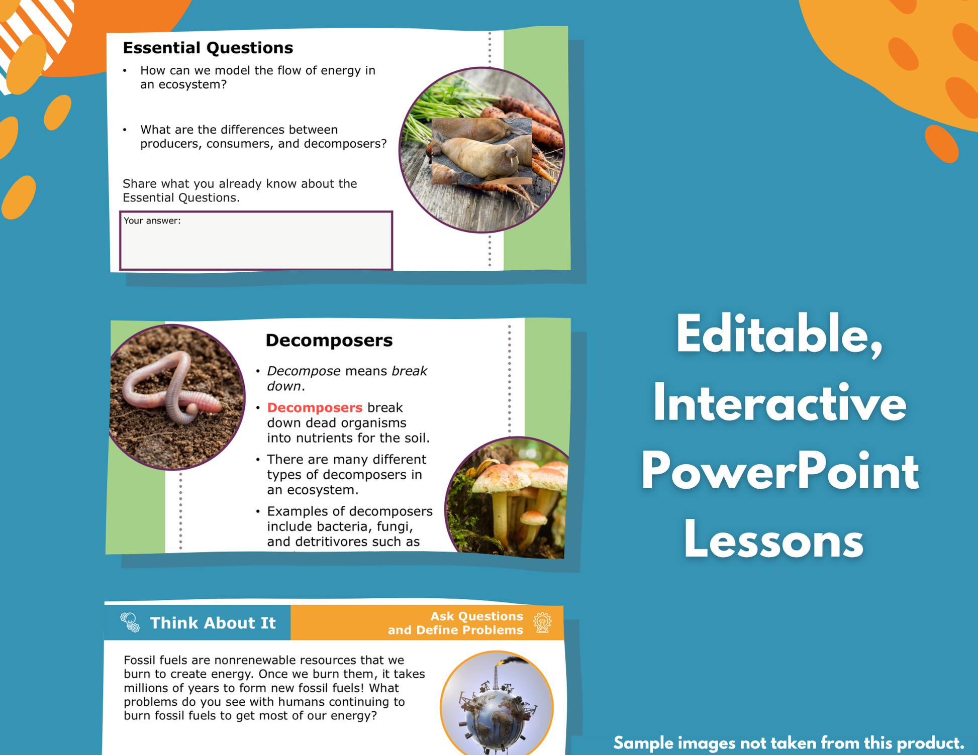Fossil Evidence of Environments Complete Science Lesson - Gr 4, New TEKS 4.12C