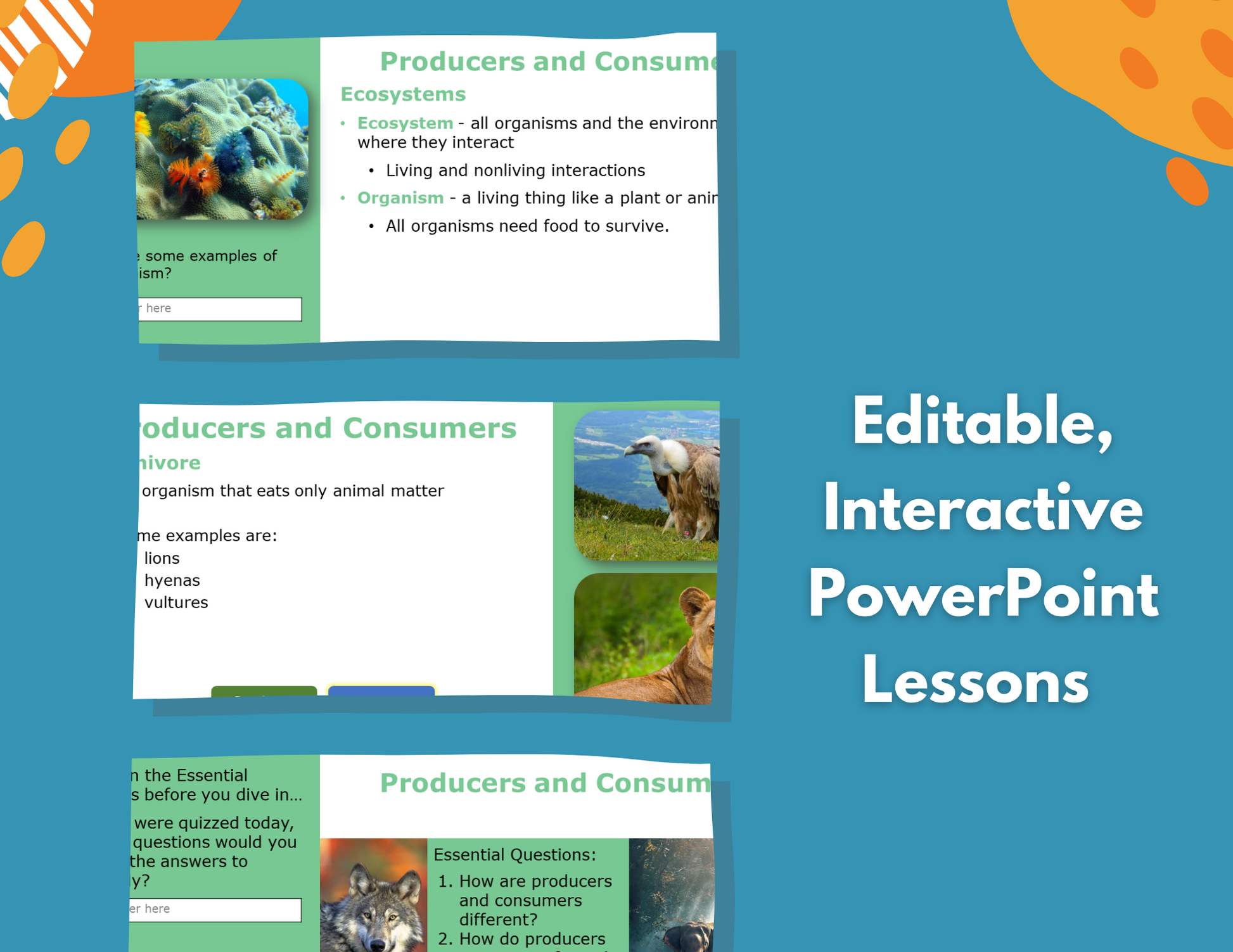 Producers & Consumers - Complete Lesson Plan - 4th Grade
