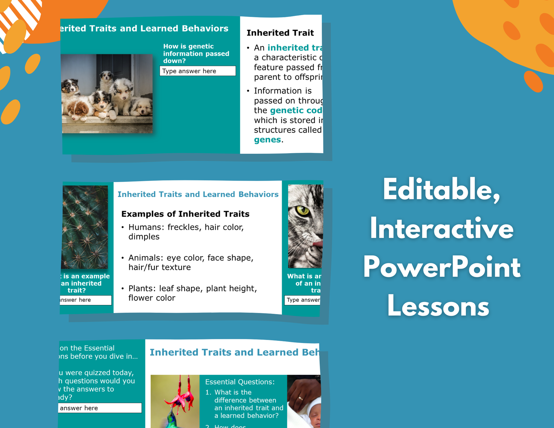 Inherited Traits & Learned Behaviors - Complete Lesson Plan - 5th Grade