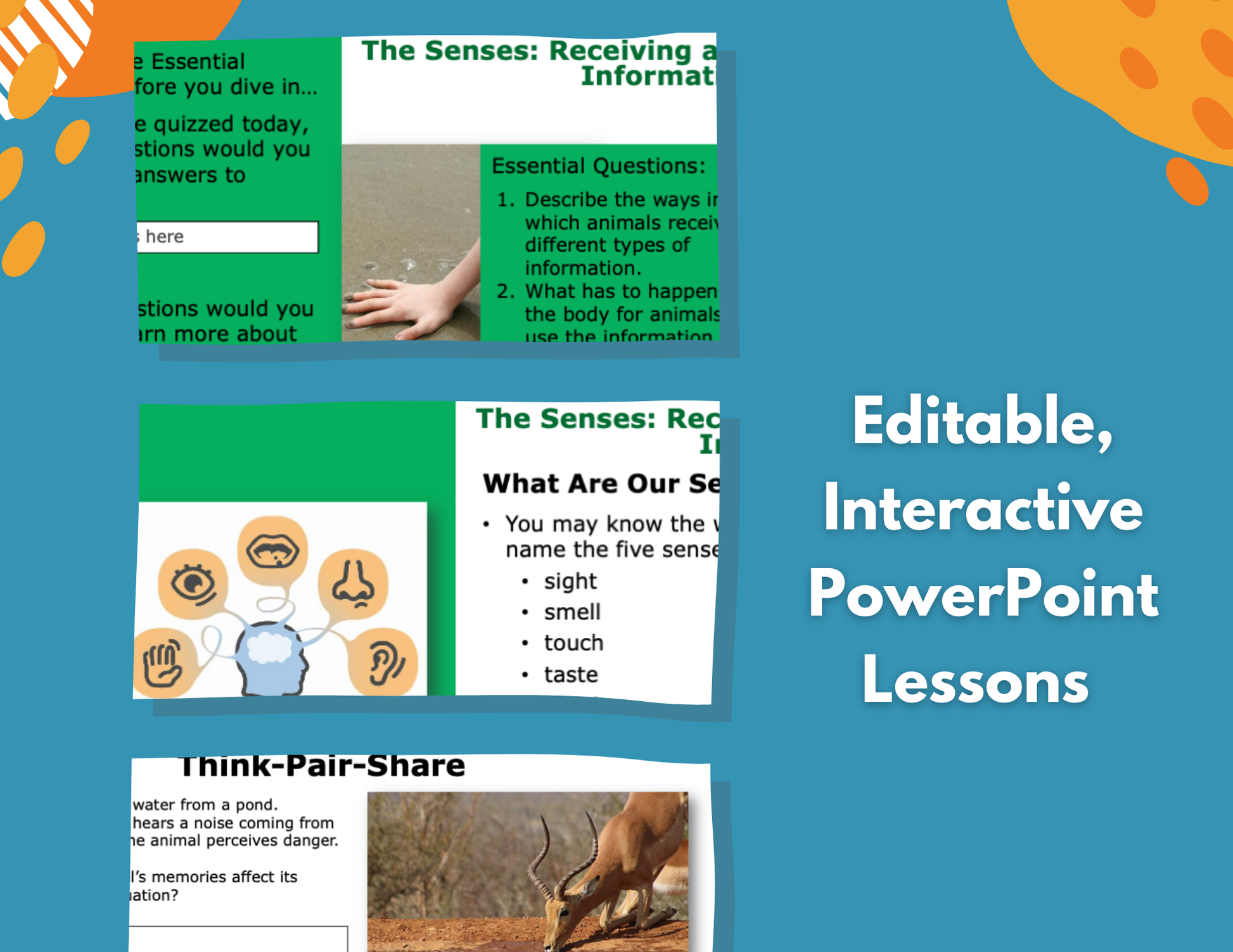 Senses - Receiving & Responding to Information - Complete Lesson Plan - 4th Gr