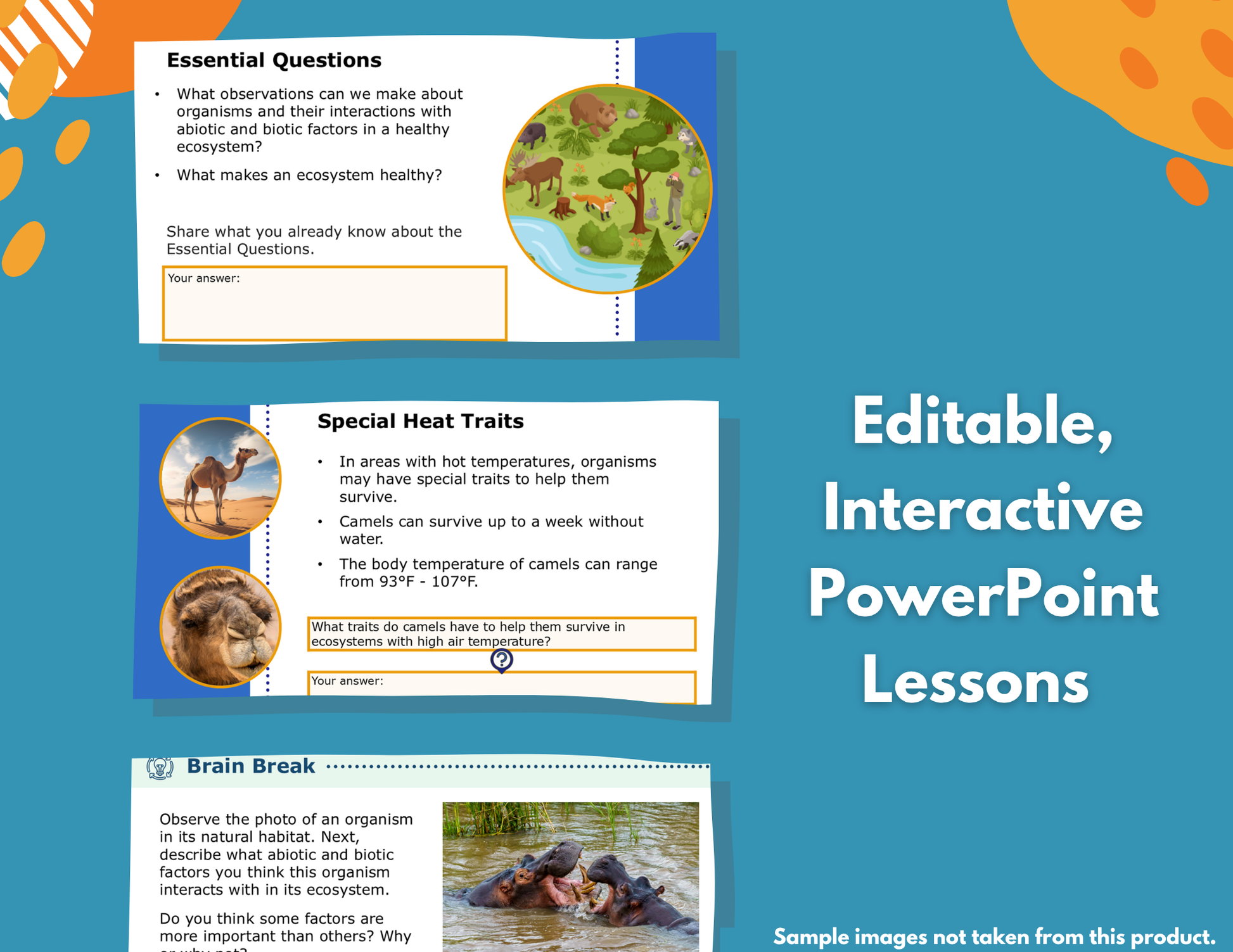 Behavioral Traits Complete Science Lesson - Grade 5, New TEKS 5.13B