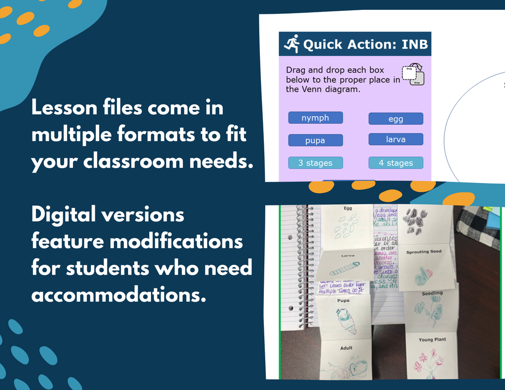 Life Cycles - Complete Lesson Plan - 4th Grade