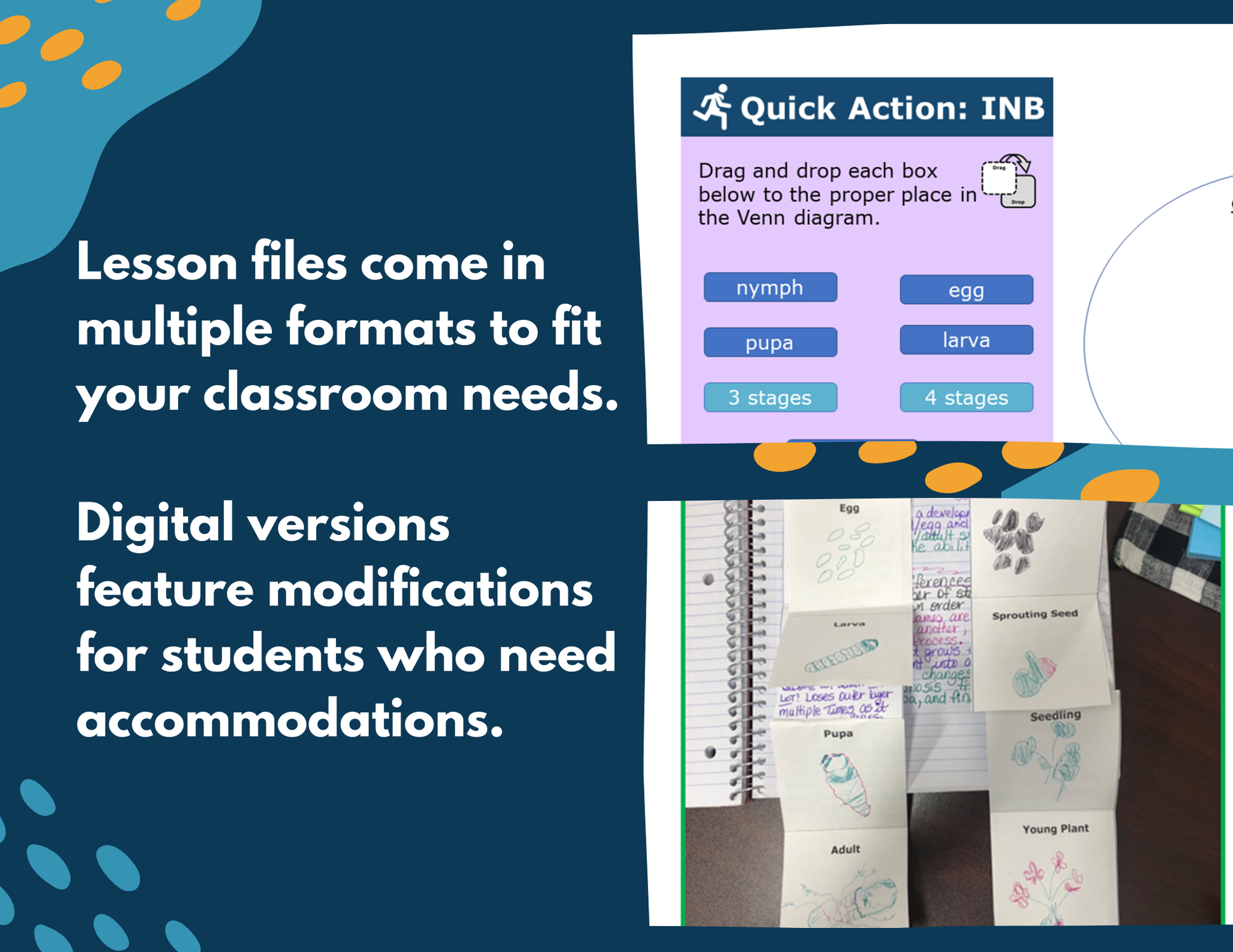 Life Cycles - Complete Lesson Plan - 4th Grade