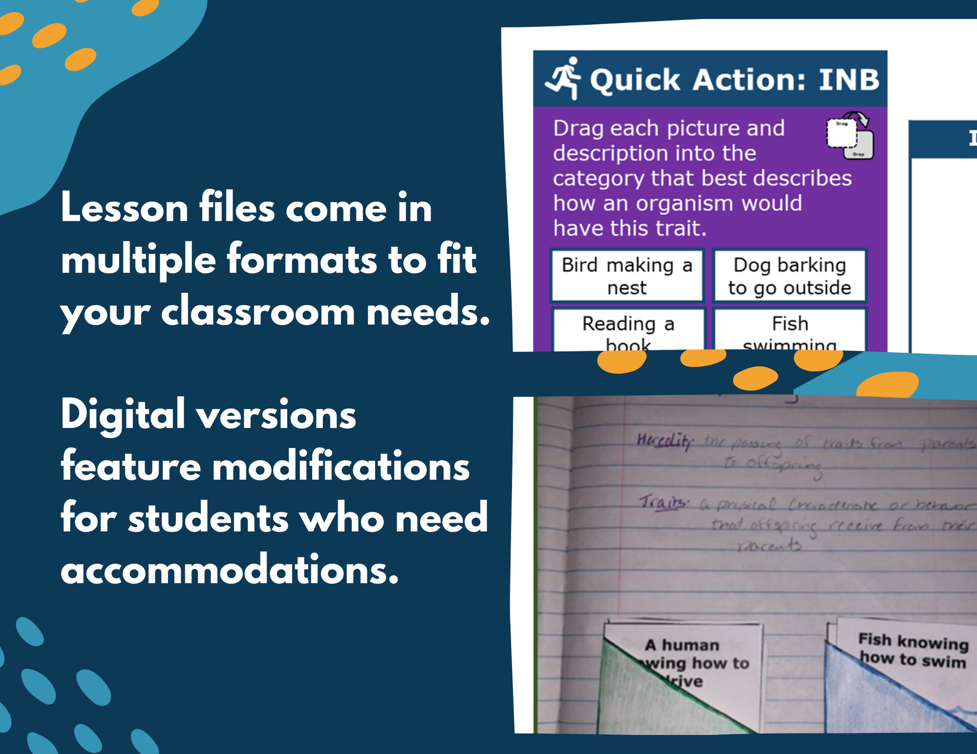 Exploring Traits - Complete Lesson Plan - 4th Grade