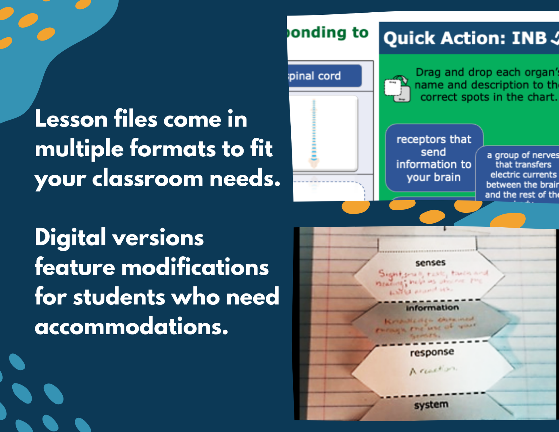 Senses - Receiving & Responding to Information - Complete Lesson Plan - 4th Gr