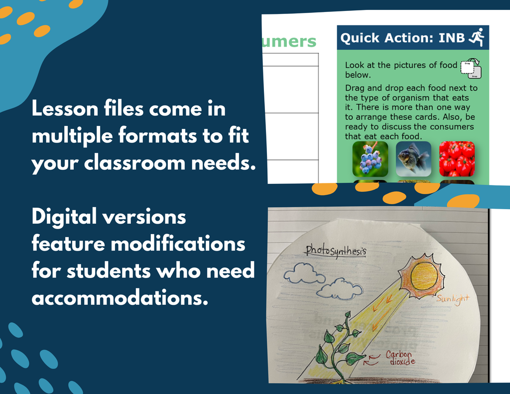 Producers & Consumers - Complete Lesson Plan - 4th Grade