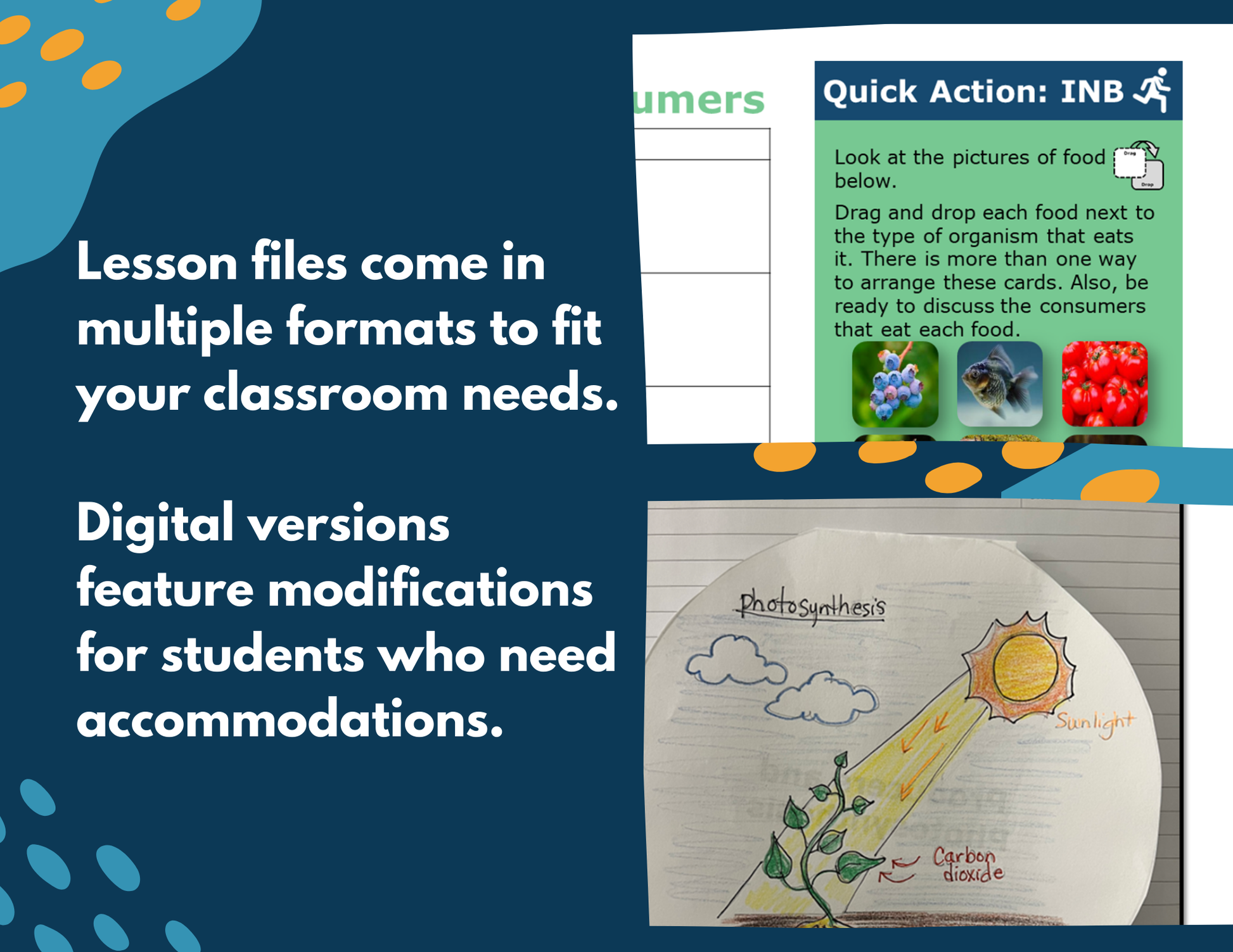 Producers & Consumers - Complete Lesson Plan - 4th Grade