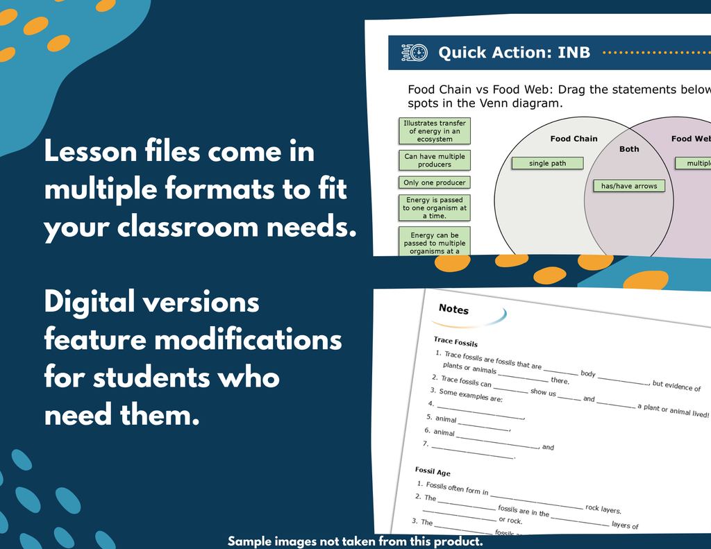 Producers & Cycling of Matter Complete Science Lesson - Grade 4, New TEKS 4.12A