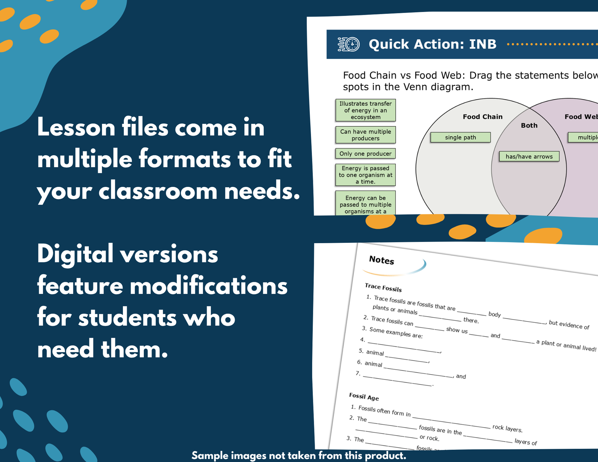Producers & Cycling of Matter Complete Science Lesson - Grade 4, New TEKS 4.12A