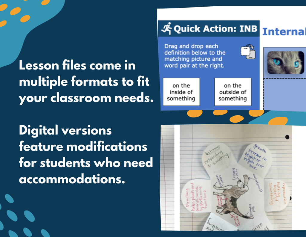 Internal & External Structures - Complete Lesson Plan - NGSS 4-LS1-1 - 4th Grade