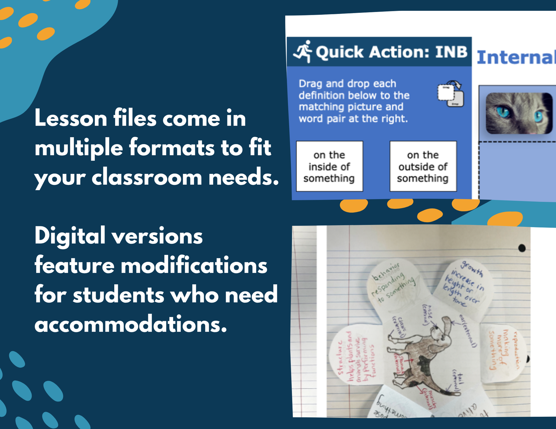 Internal & External Structures - Complete Lesson Plan - NGSS 4-LS1-1 - 4th Grade
