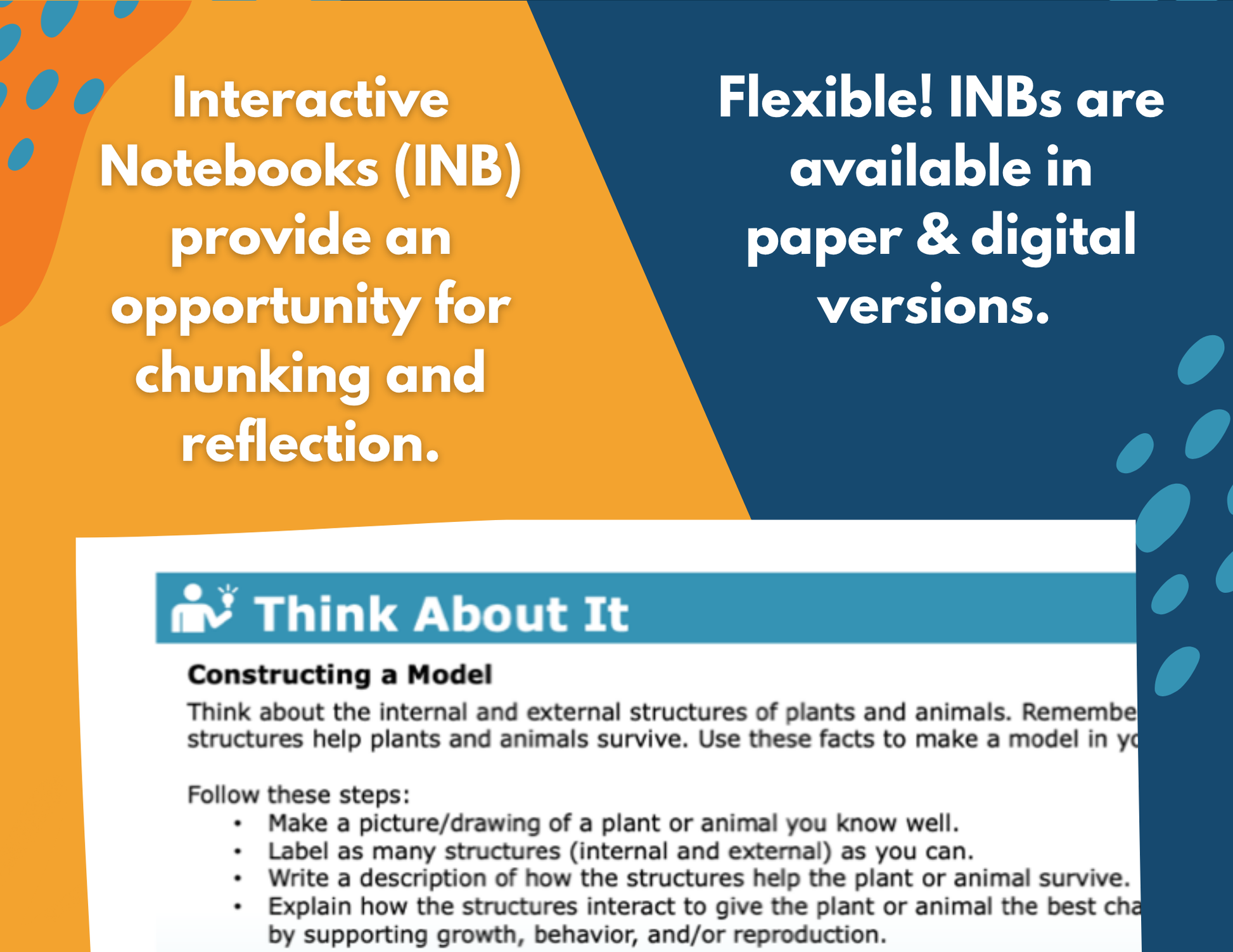Internal & External Structures - Complete Lesson Plan - NGSS 4-LS1-1 - 4th Grade