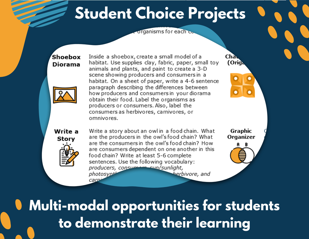 Producers & Consumers - Complete Lesson Plan - 4th Grade