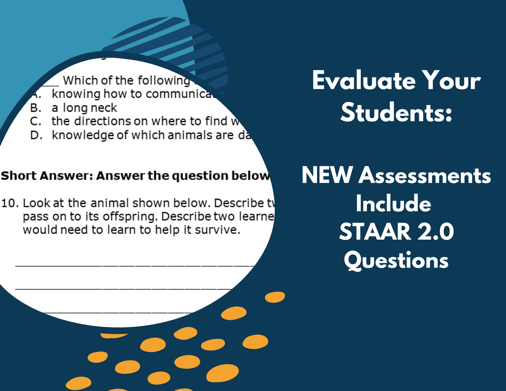 Exploring Traits - Complete Lesson Plan - 4th Grade