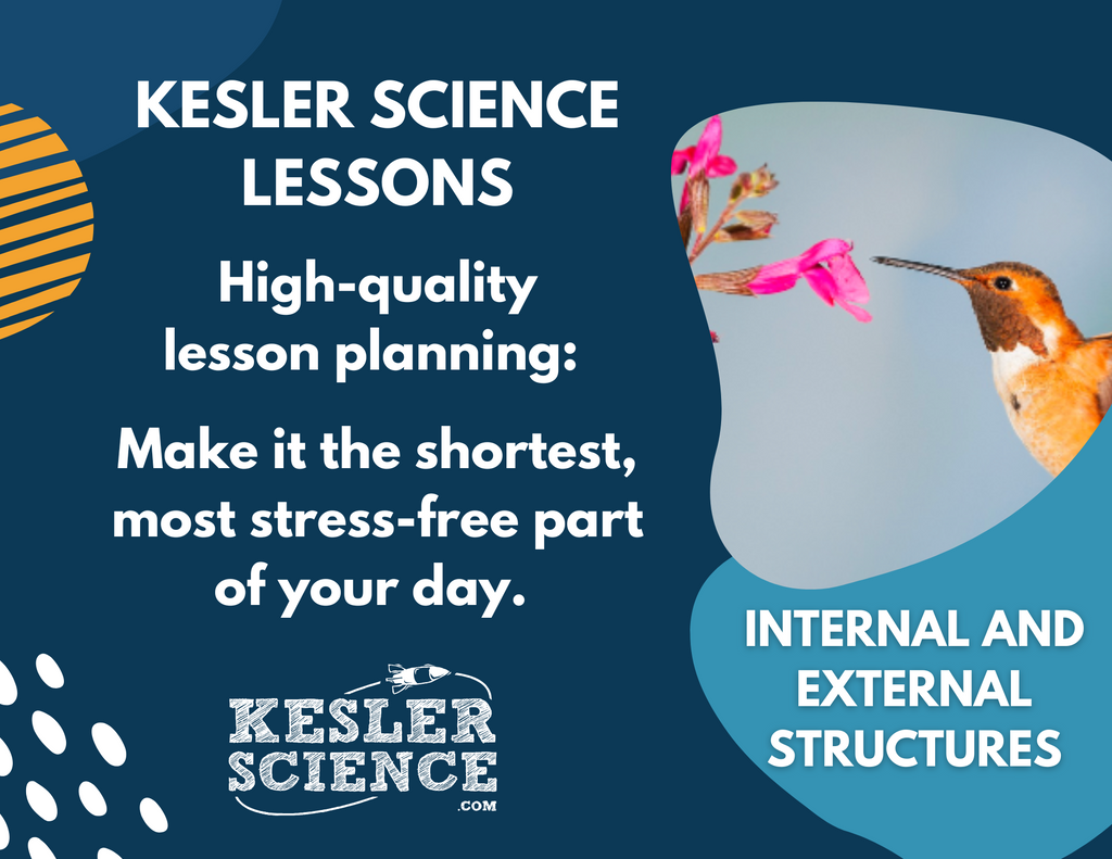 Internal & External Structures - Complete Lesson Plan - NGSS 4-LS1-1 - 4th Grade