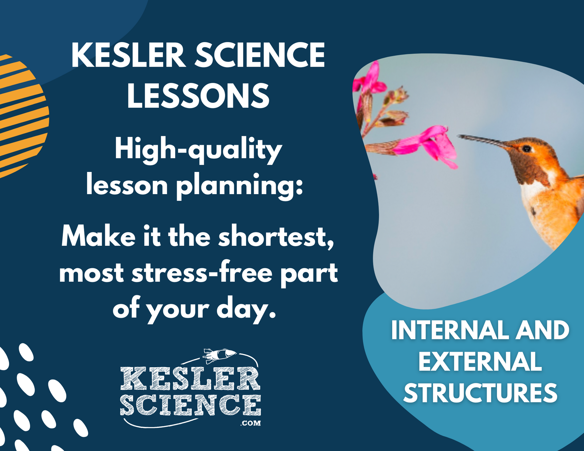Internal & External Structures - Complete Lesson Plan - NGSS 4-LS1-1 - 4th Grade