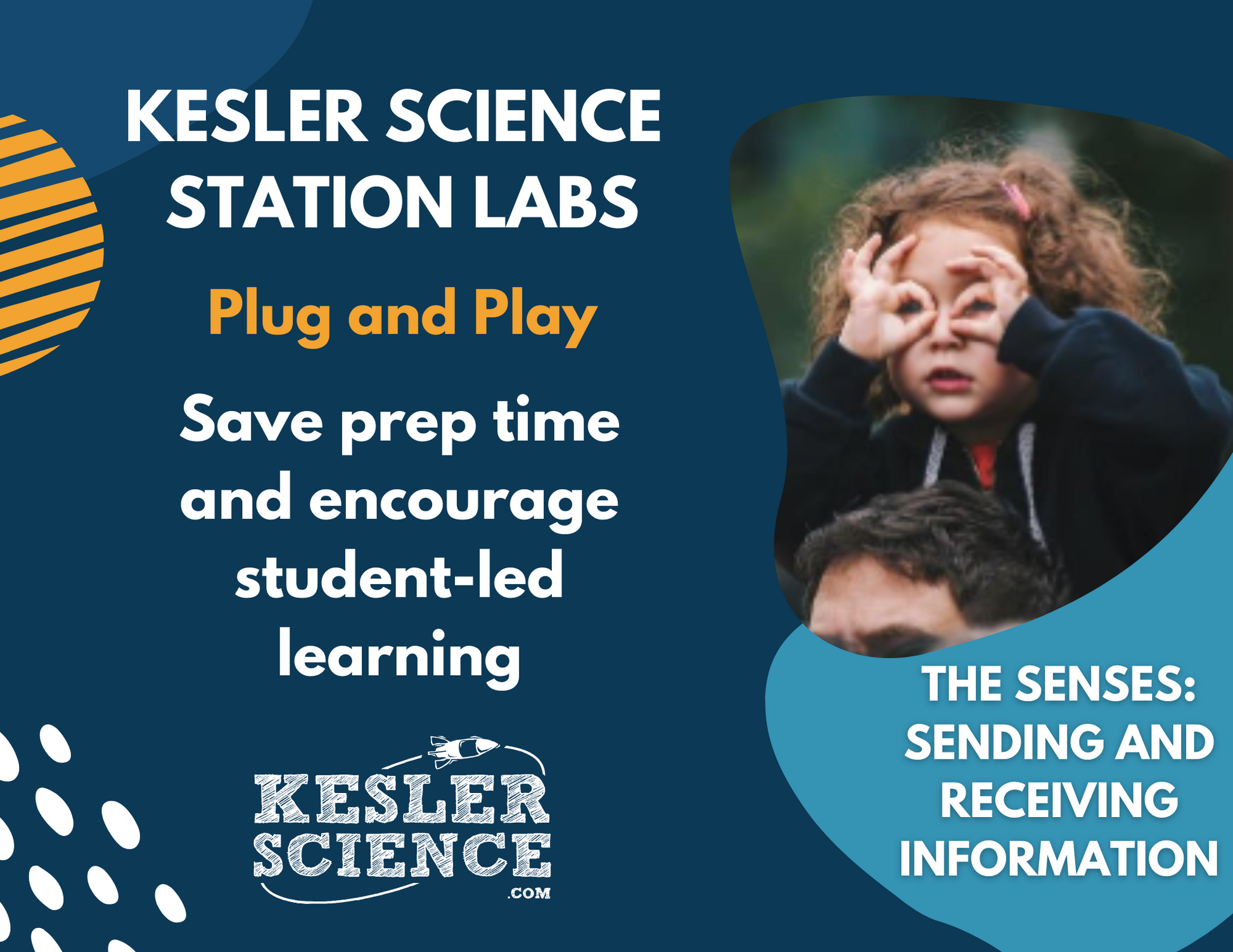 Senses: Receiving & Responding to Information - Student-Led Station Lab - 4th Gr