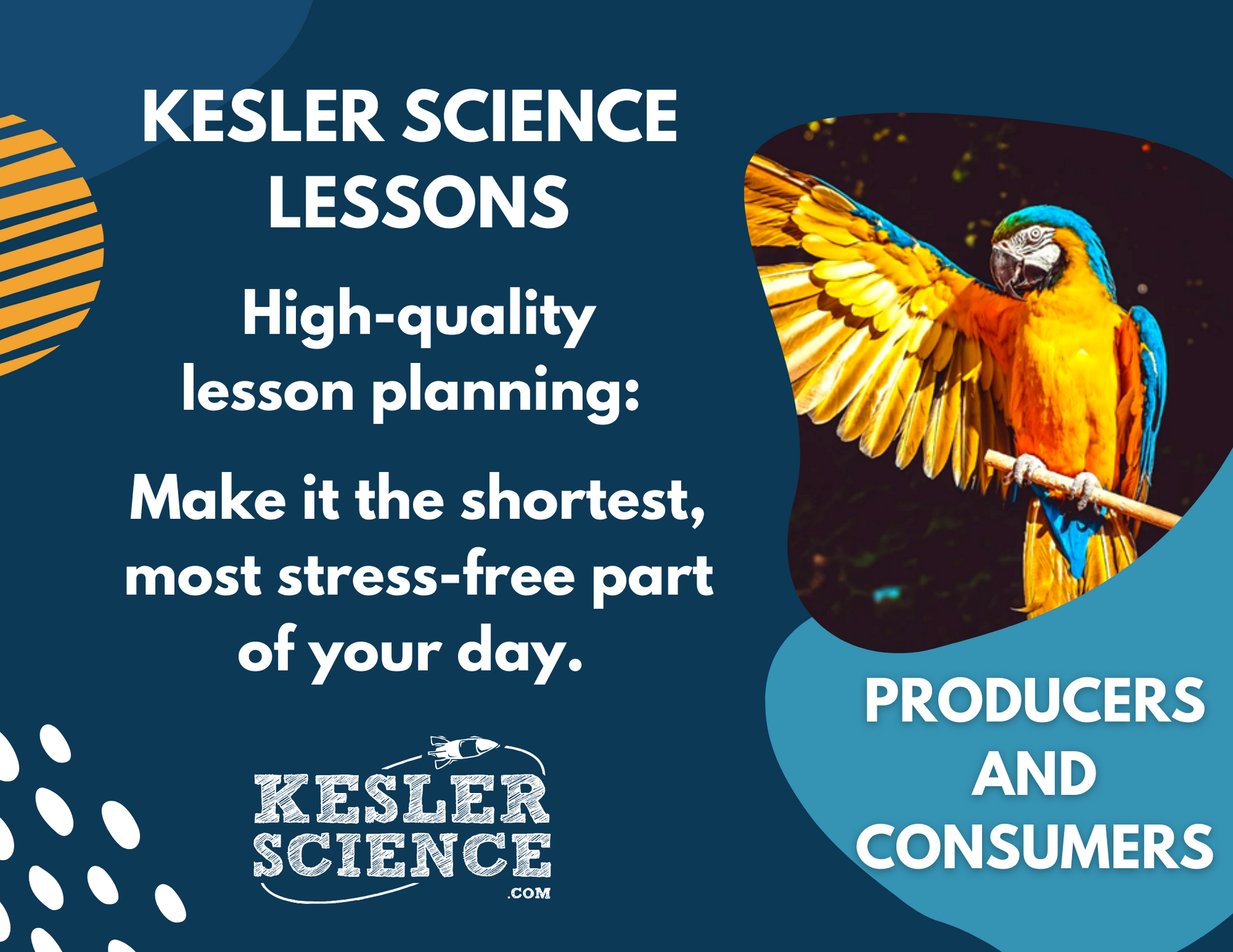 Producers & Consumers - Complete Lesson Plan - 4th Grade