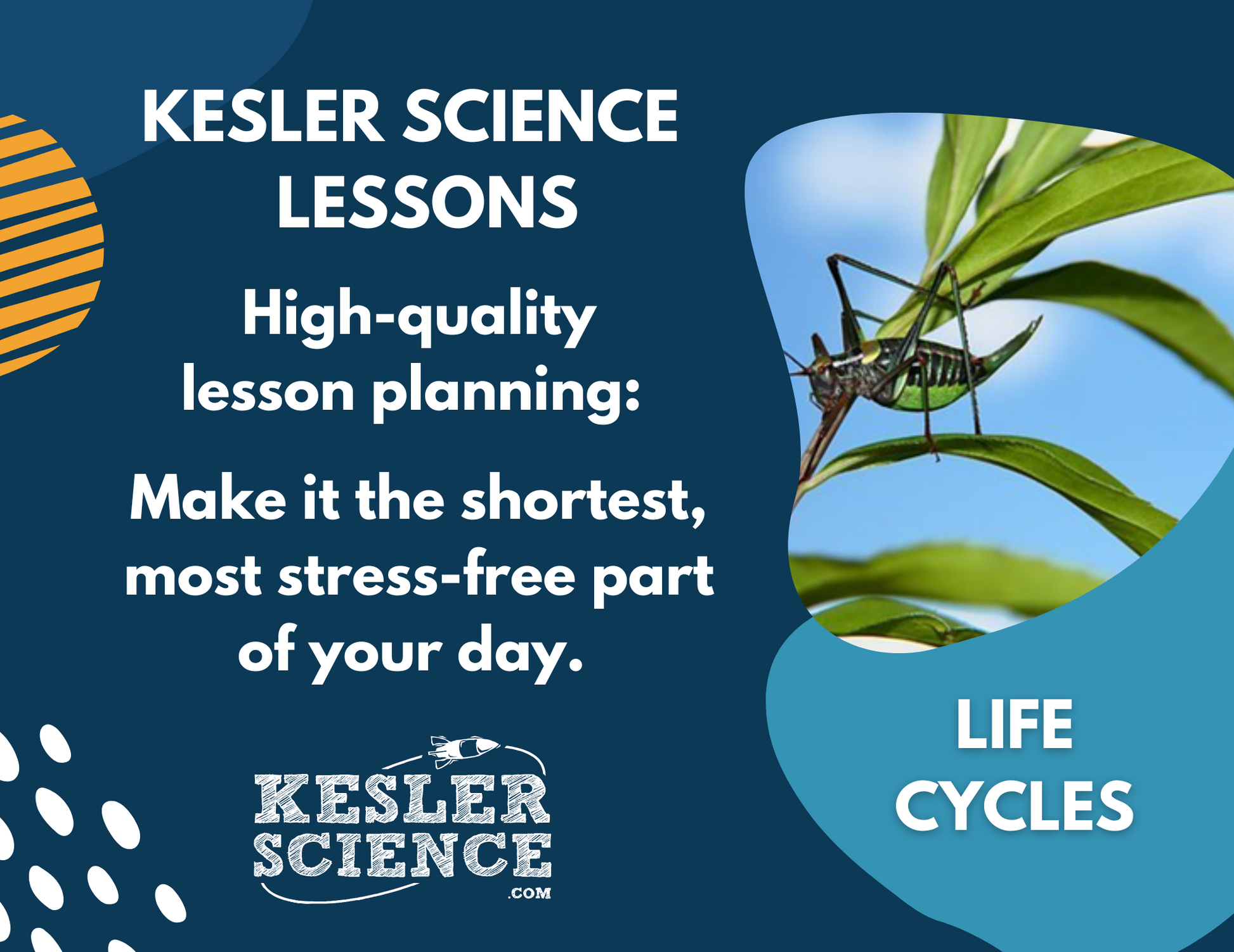 Life Cycles - Complete Lesson Plan - 4th Grade