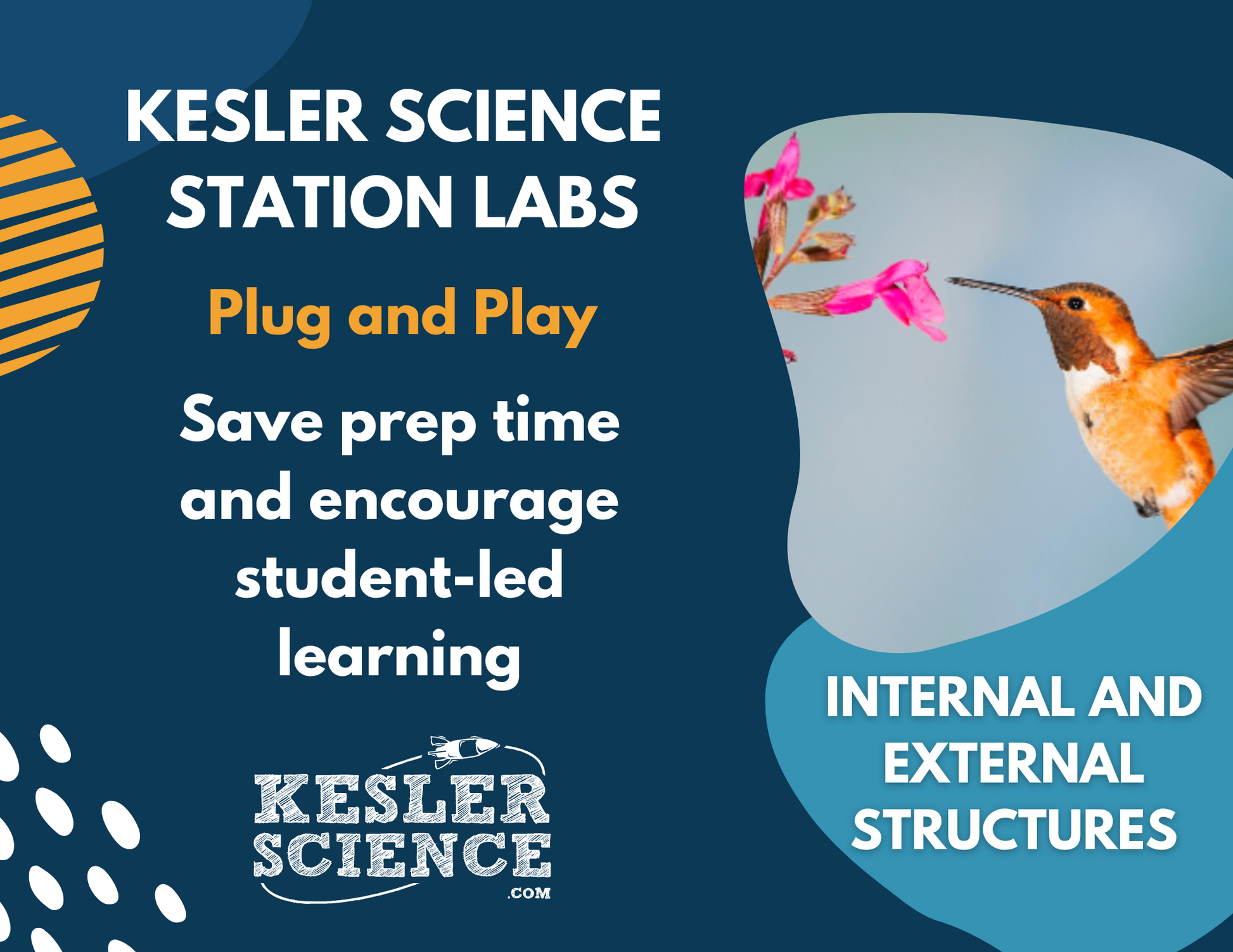 Internal & External Structures - Student-Led Station Lab - 4th Grade