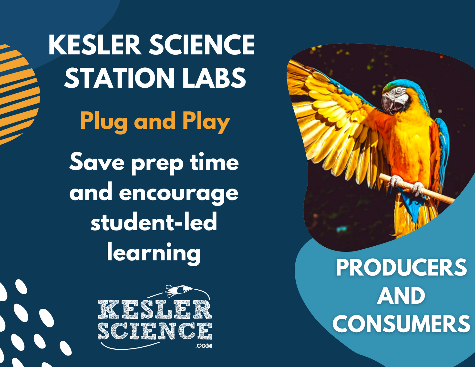 Producers & Consumers - Student-Led Station Lab - 4th Grade