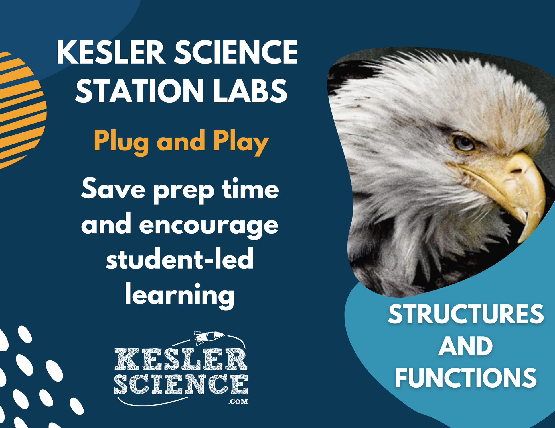 Structures & Functions - Student-Led Station Lab - 4th Grade