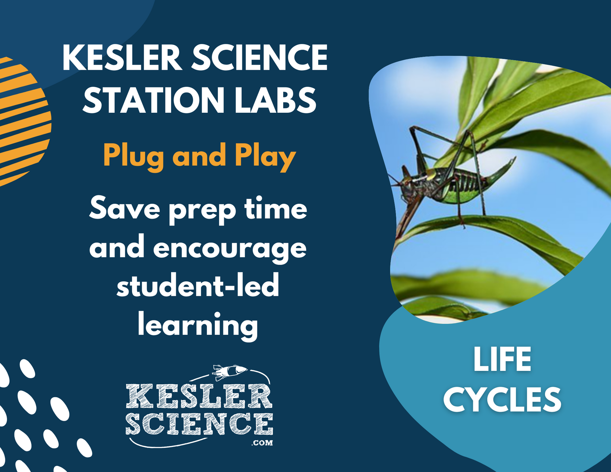 Life Cycles - Student-Led Station Lab - 4th Grade