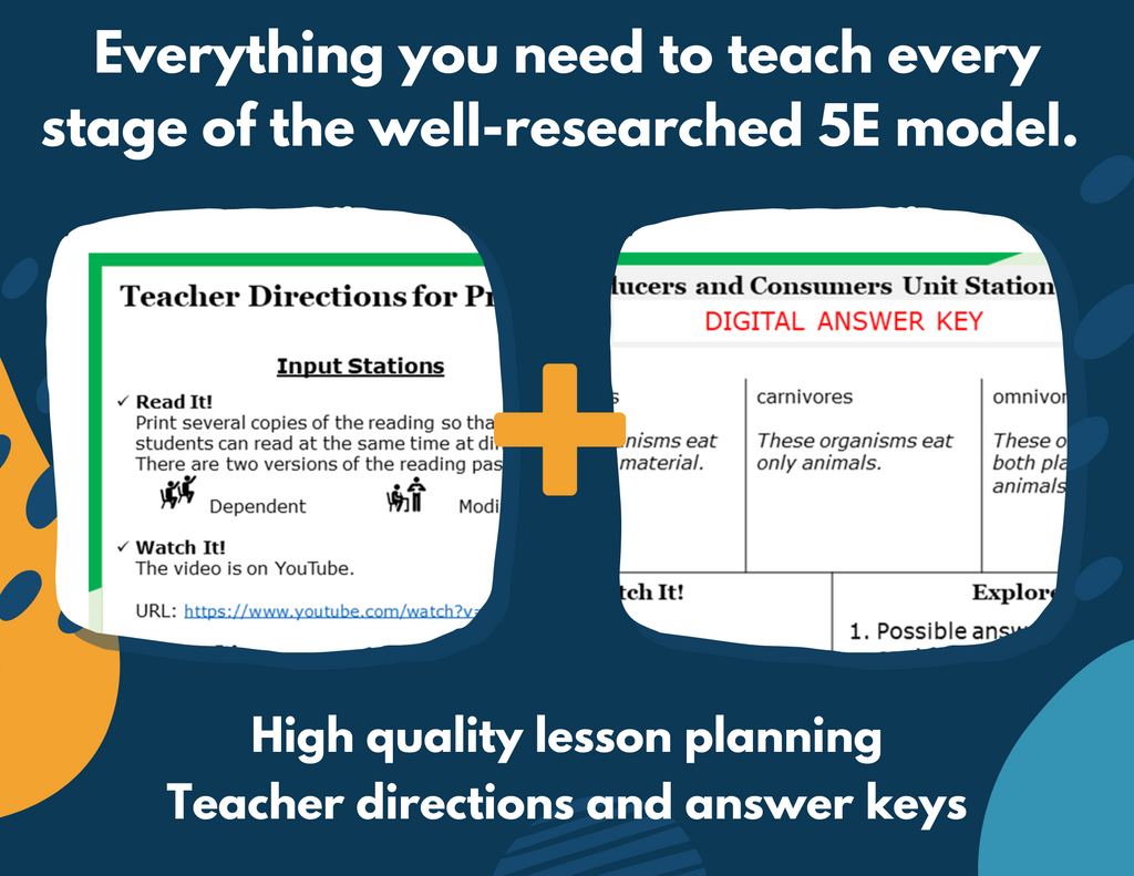 Producers & Consumers - Complete Lesson Plan - 4th Grade