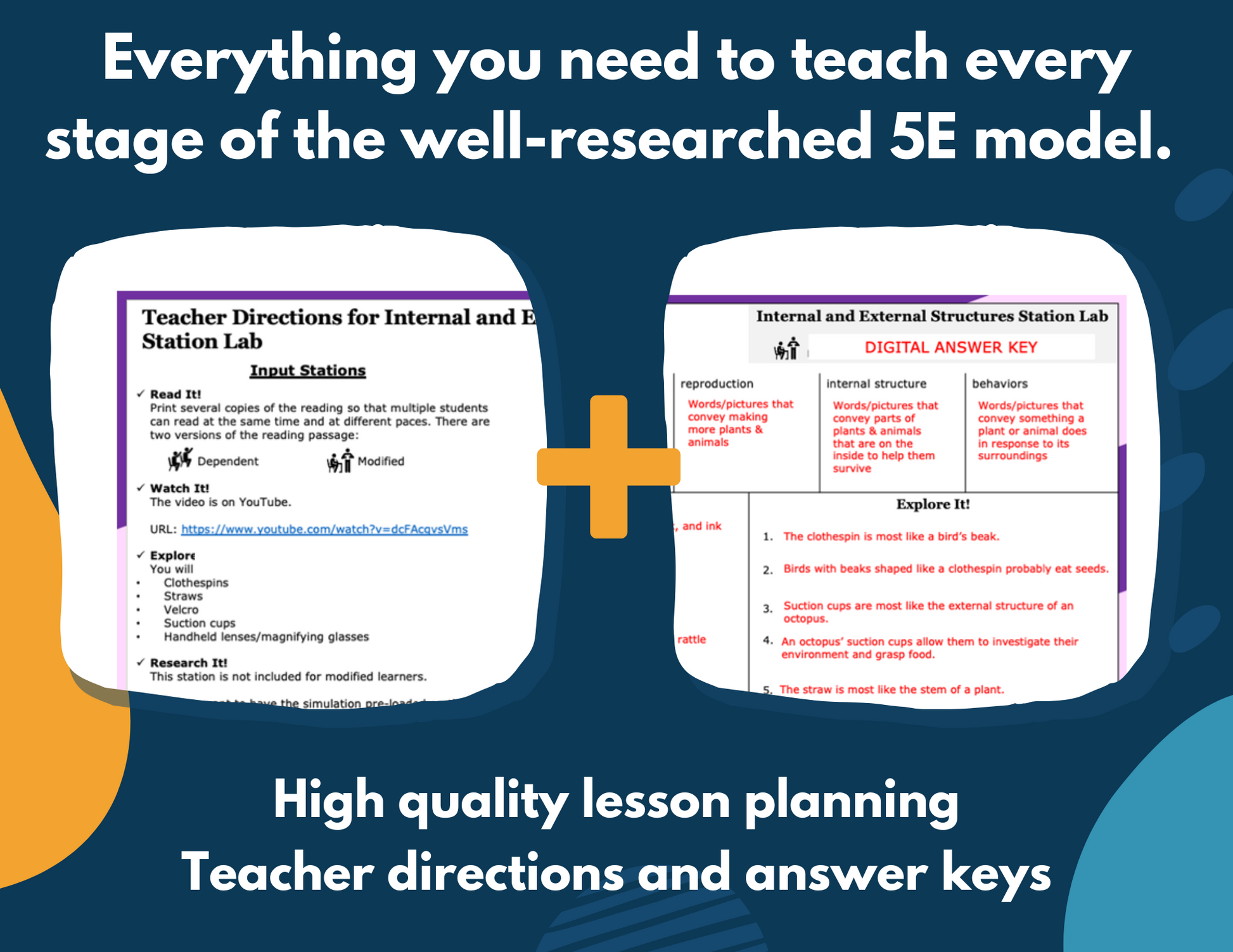 Internal & External Structures - Complete Lesson Plan - NGSS 4-LS1-1 - 4th Grade