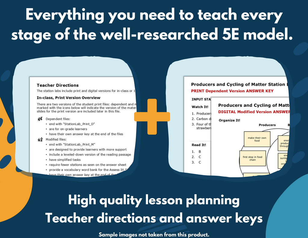 Matter & Energy in Food Webs Complete Science Lesson - Grade 4, New TEKS 4.12B