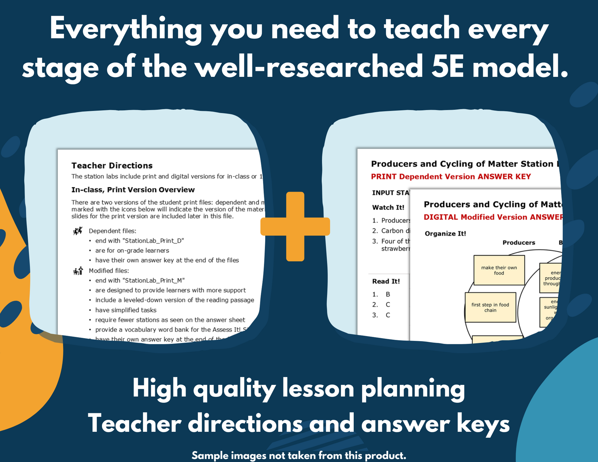 Matter & Energy in Food Webs Complete Science Lesson - Grade 4, New TEKS 4.12B