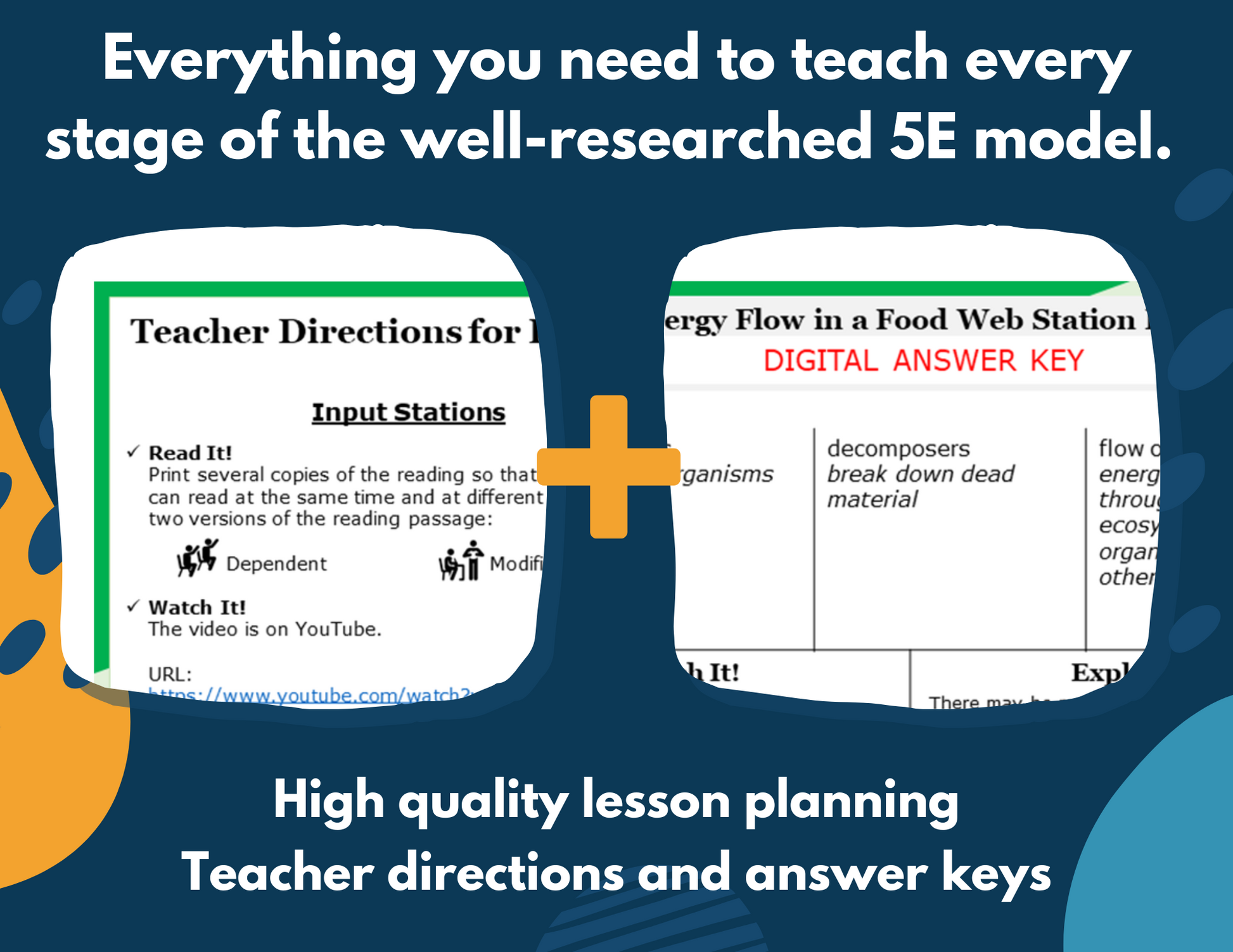 Energy Flow in a Food Web - Complete Lesson Plan - 4th Grade