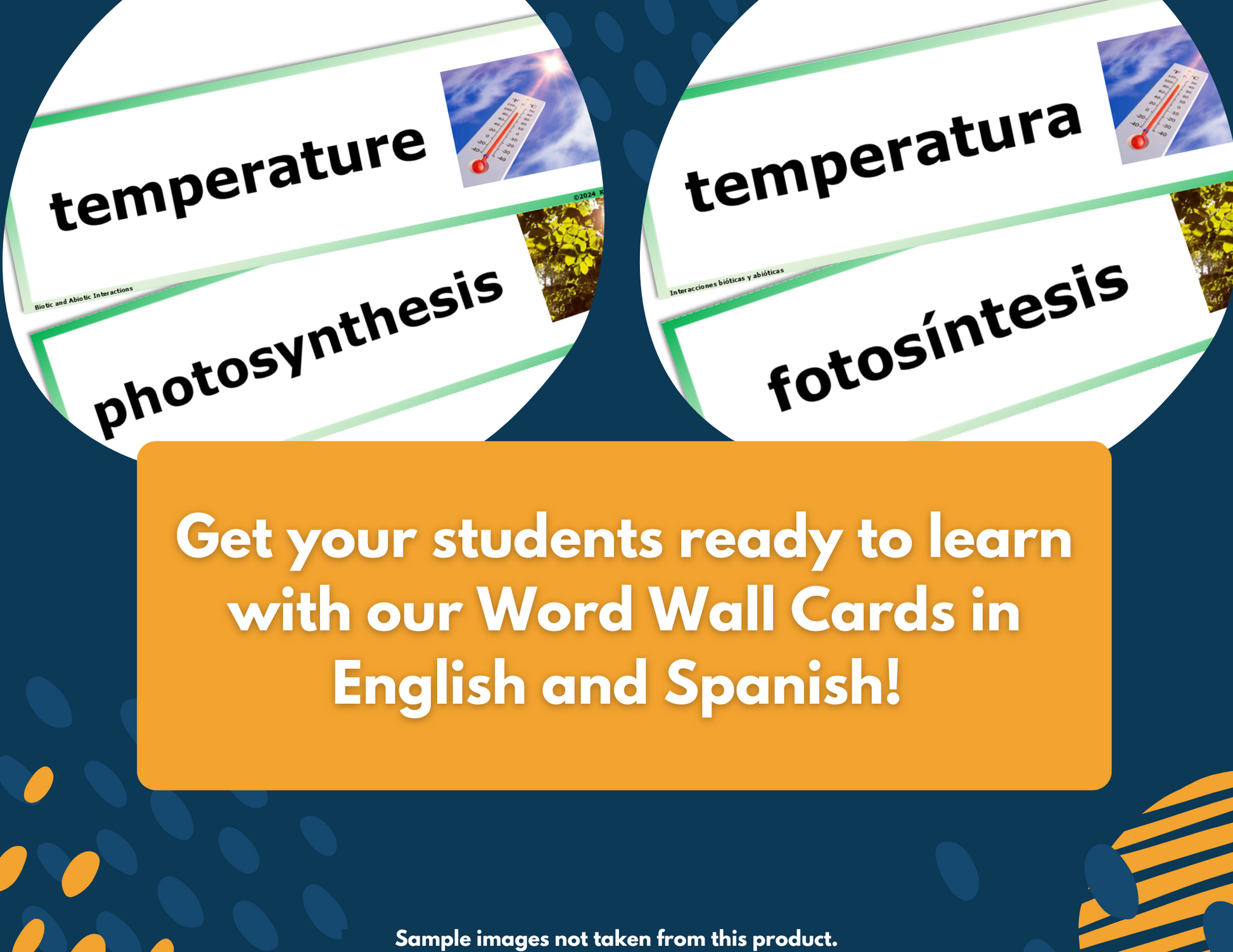 Matter & Energy in Food Webs Complete Science Lesson - Grade 4, New TEKS 4.12B