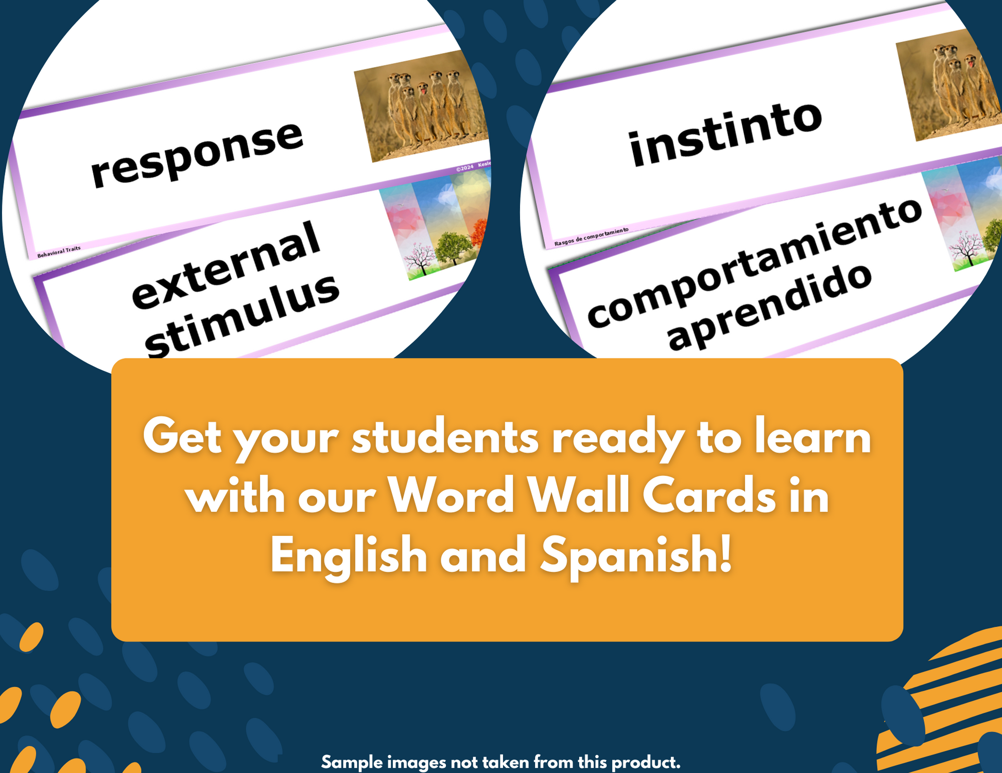 Behavioral Traits Complete Science Lesson - Grade 5, New TEKS 5.13B