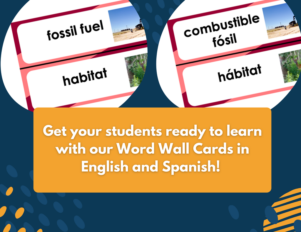 2021 TEKS 5E Lessons: 4th Grade Earth Science Bundle