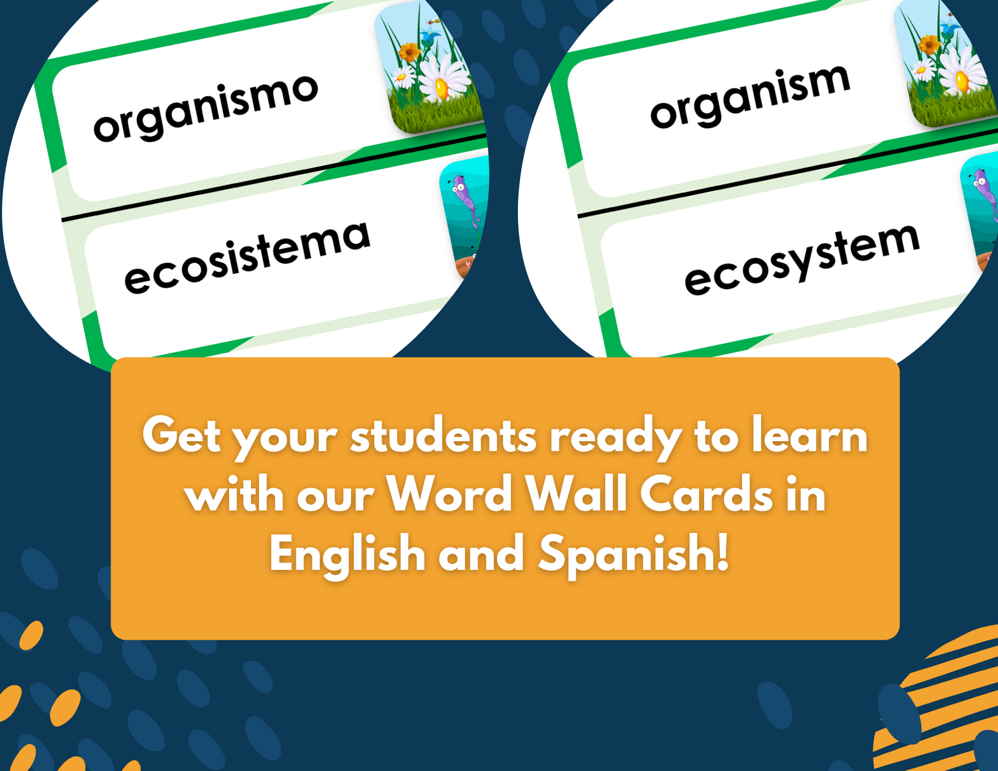 Producers & Consumers - Complete Lesson Plan - 4th Grade