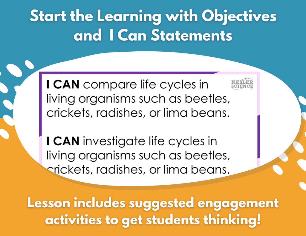 Life Cycles - Complete Lesson Plan - 4th Grade