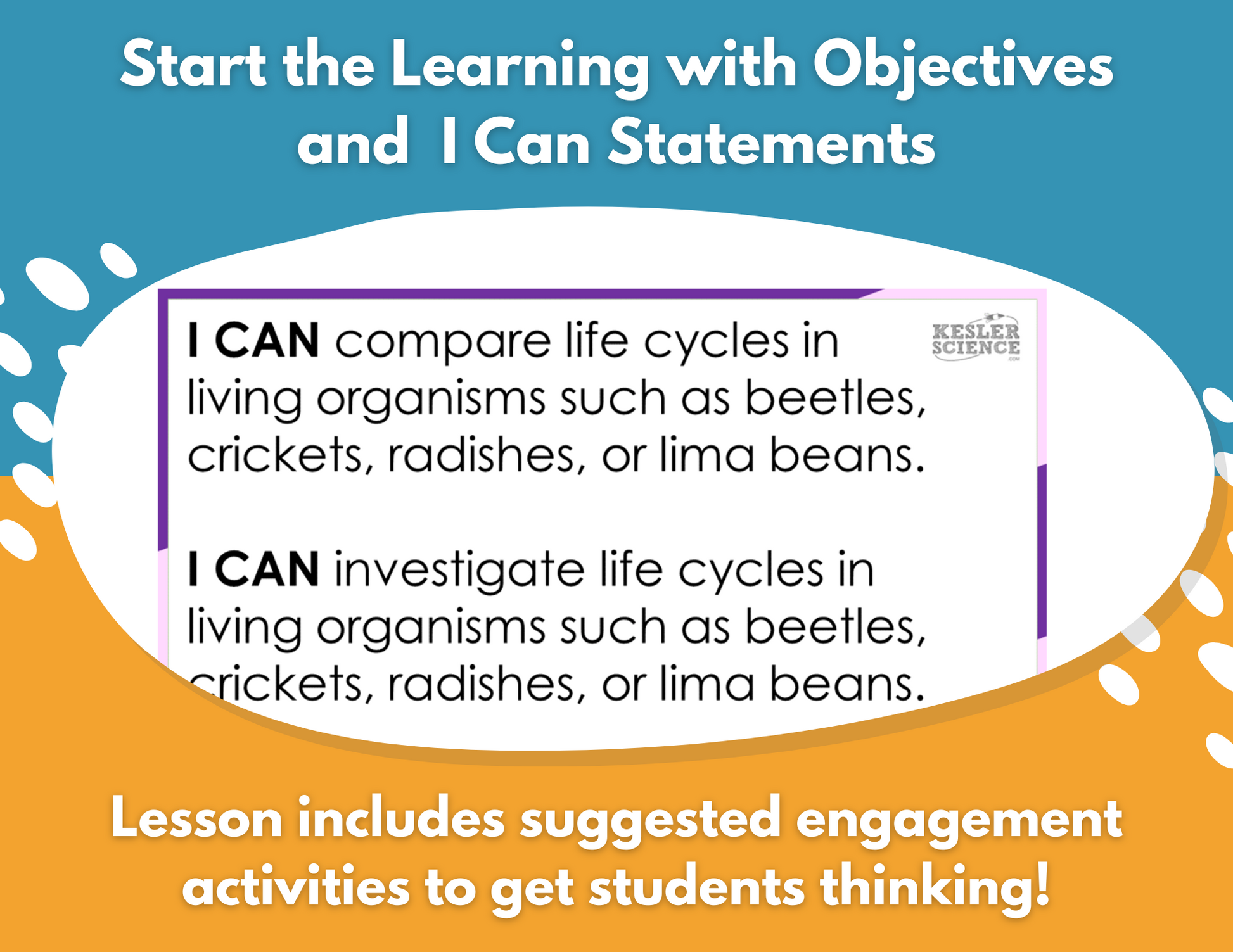 Life Cycles - Complete Lesson Plan - 4th Grade