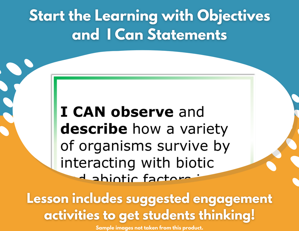 Structures & Functions - Complete Lesson Plan - 4th Grade