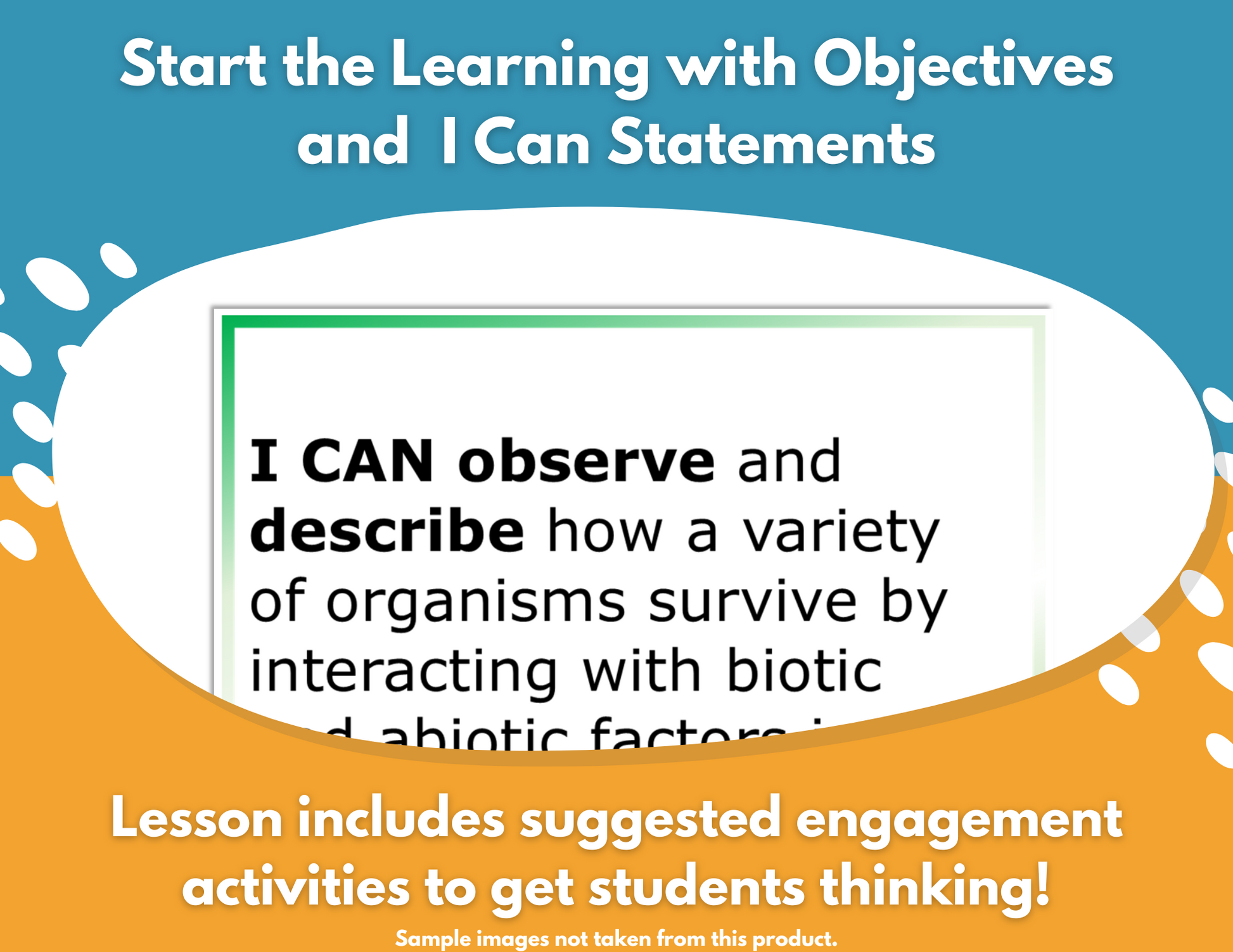 Structures & Functions - Complete Lesson Plan - 4th Grade
