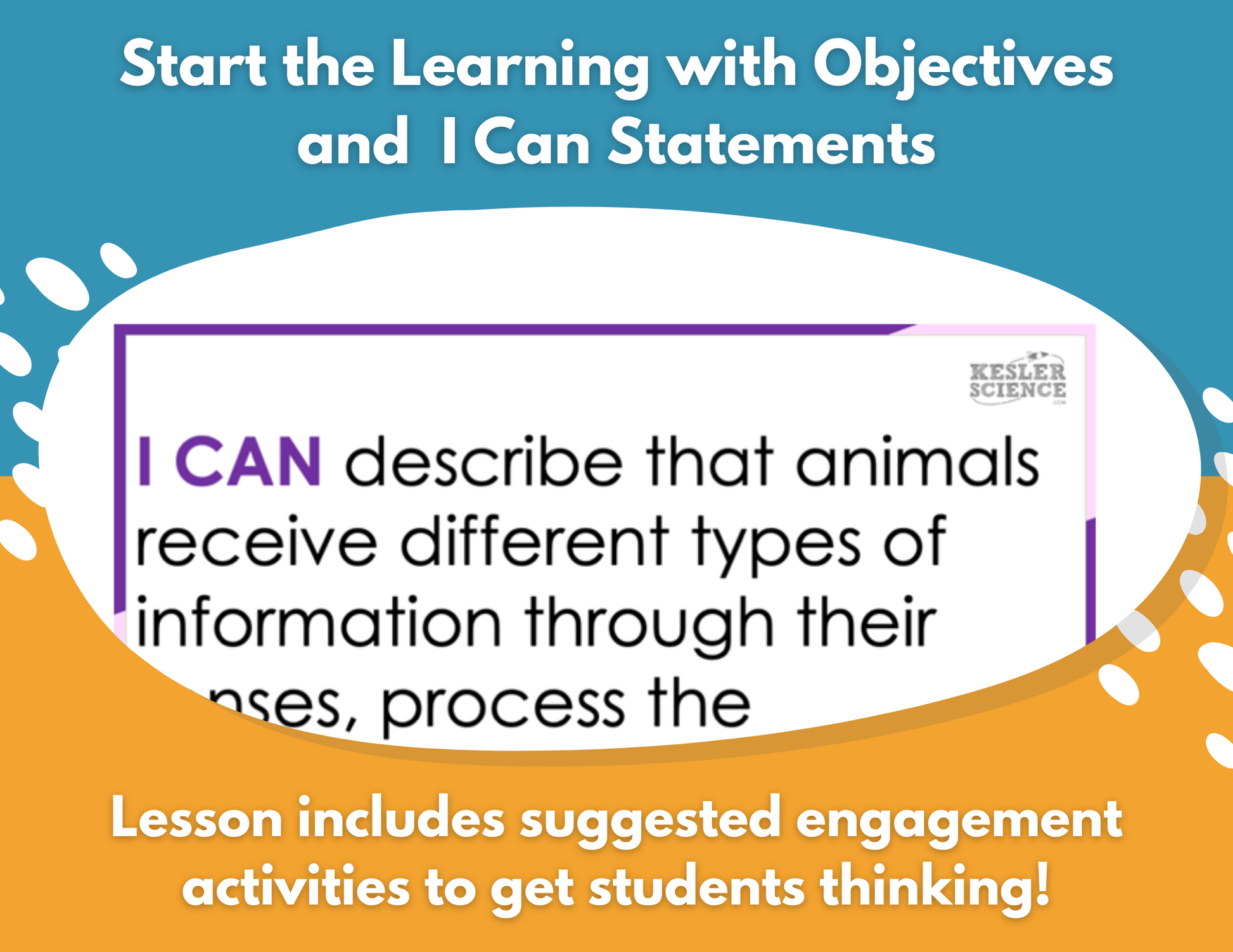 Senses - Receiving & Responding to Information - Complete Lesson Plan - 4th Gr