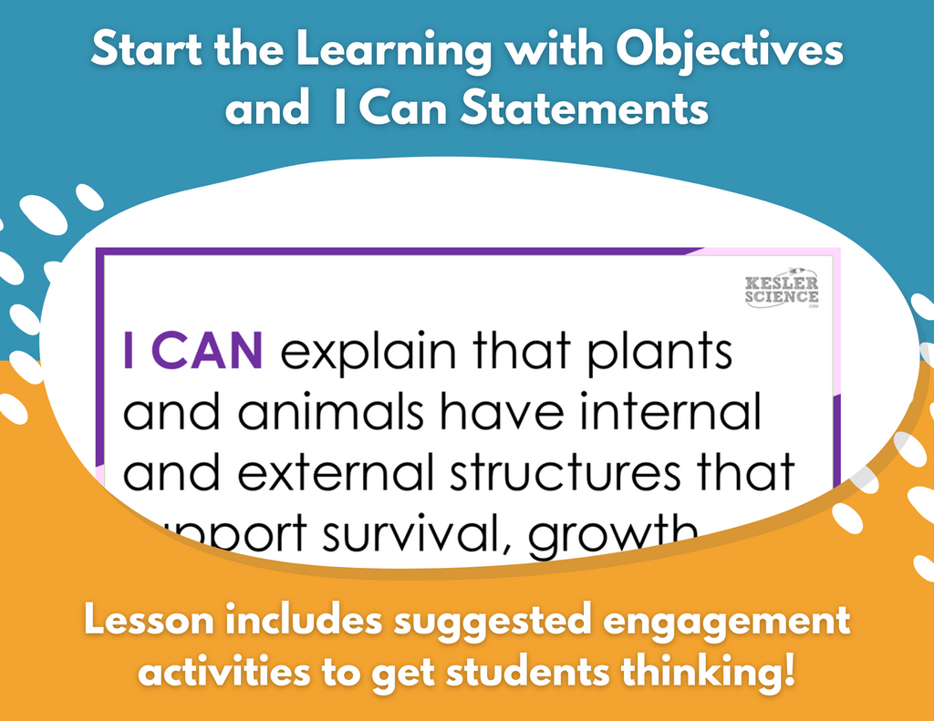 Internal & External Structures - Complete Lesson Plan - NGSS 4-LS1-1 - 4th Grade