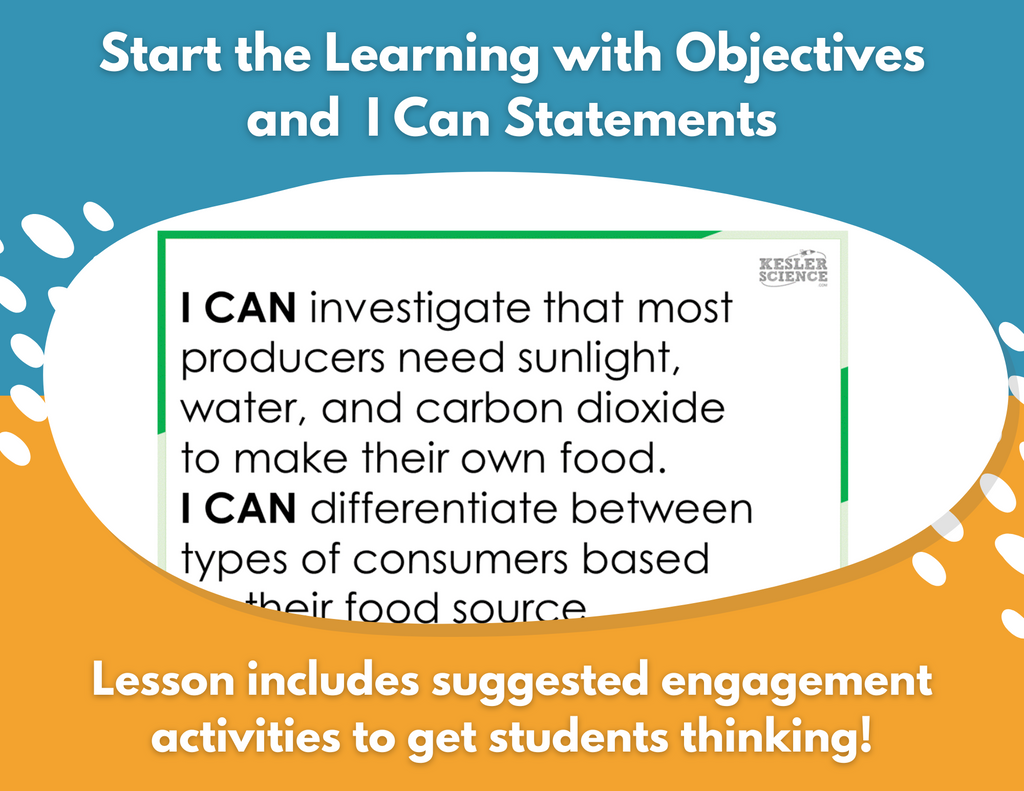 Producers & Consumers - Complete Lesson Plan - 4th Grade