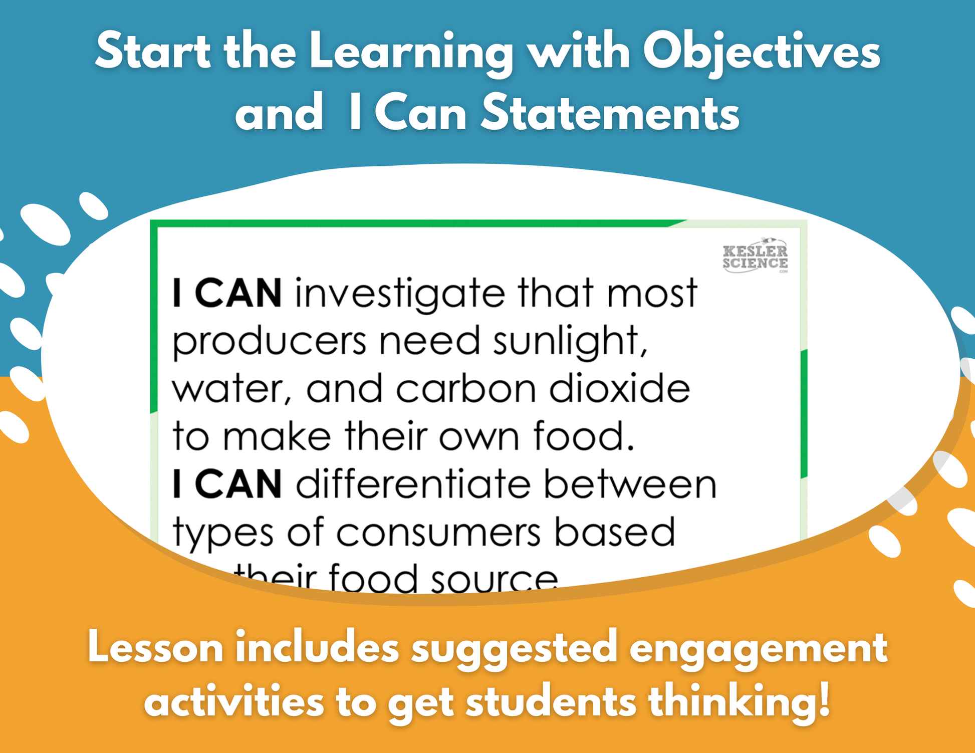 Producers & Consumers - Complete Lesson Plan - 4th Grade