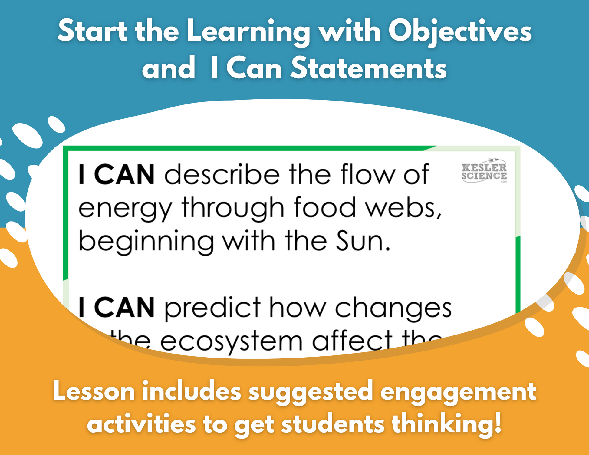 Energy Flow in a Food Web - Complete Lesson Plan - 4th Grade