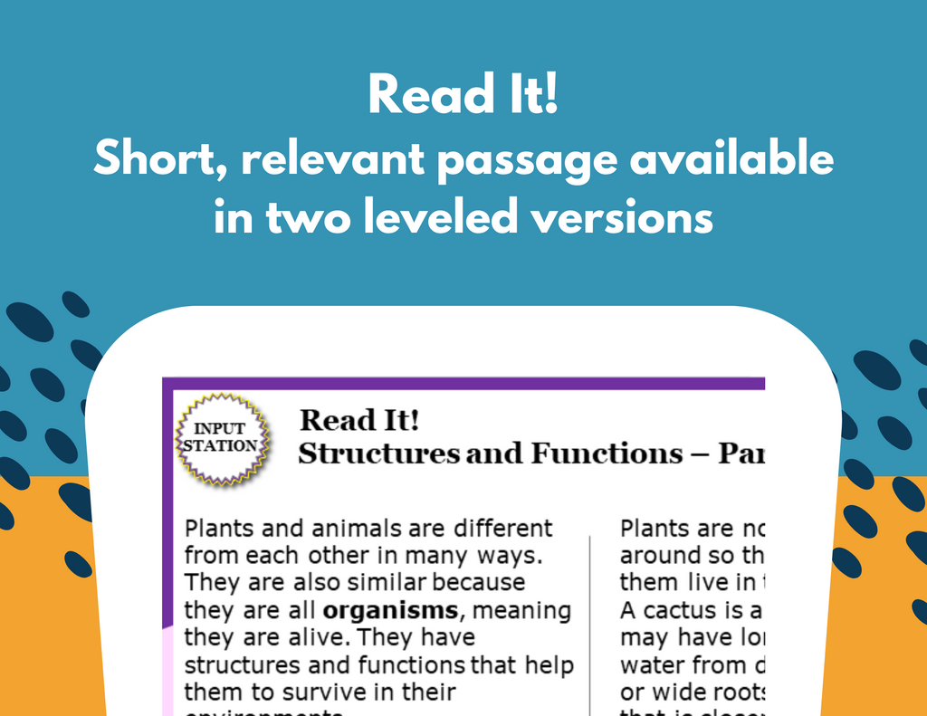 Structures & Functions - Student-Led Station Lab - 4th Grade