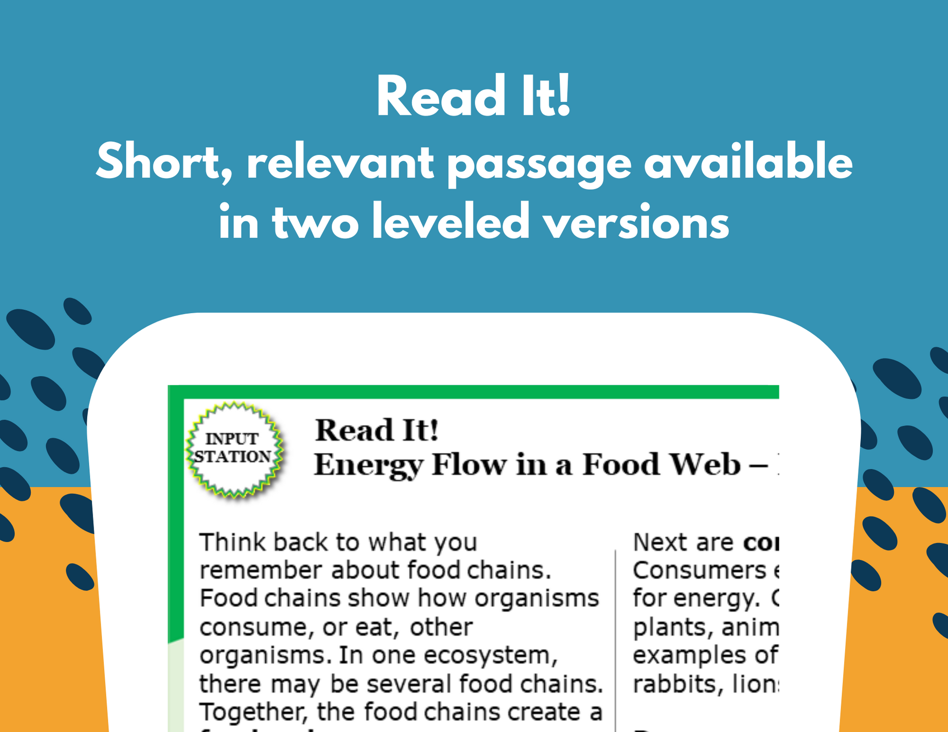 Energy Flow in a Food Web - Student-Led Station Lab - 4th Grade