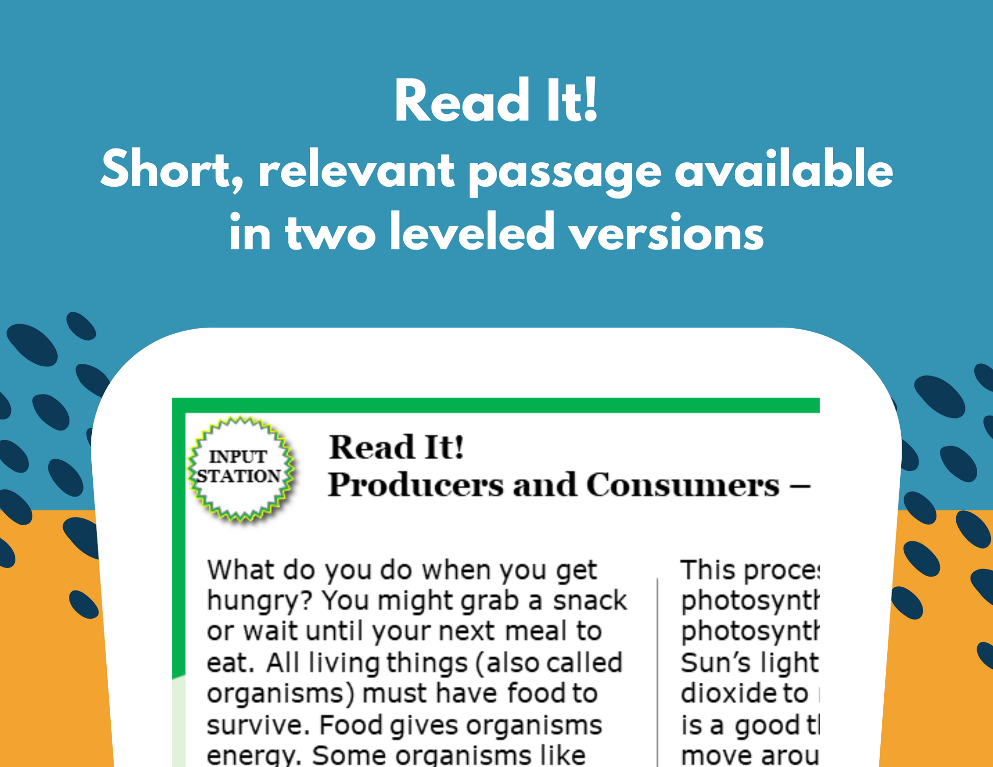 Producers & Consumers - Student-Led Station Lab - 4th Grade