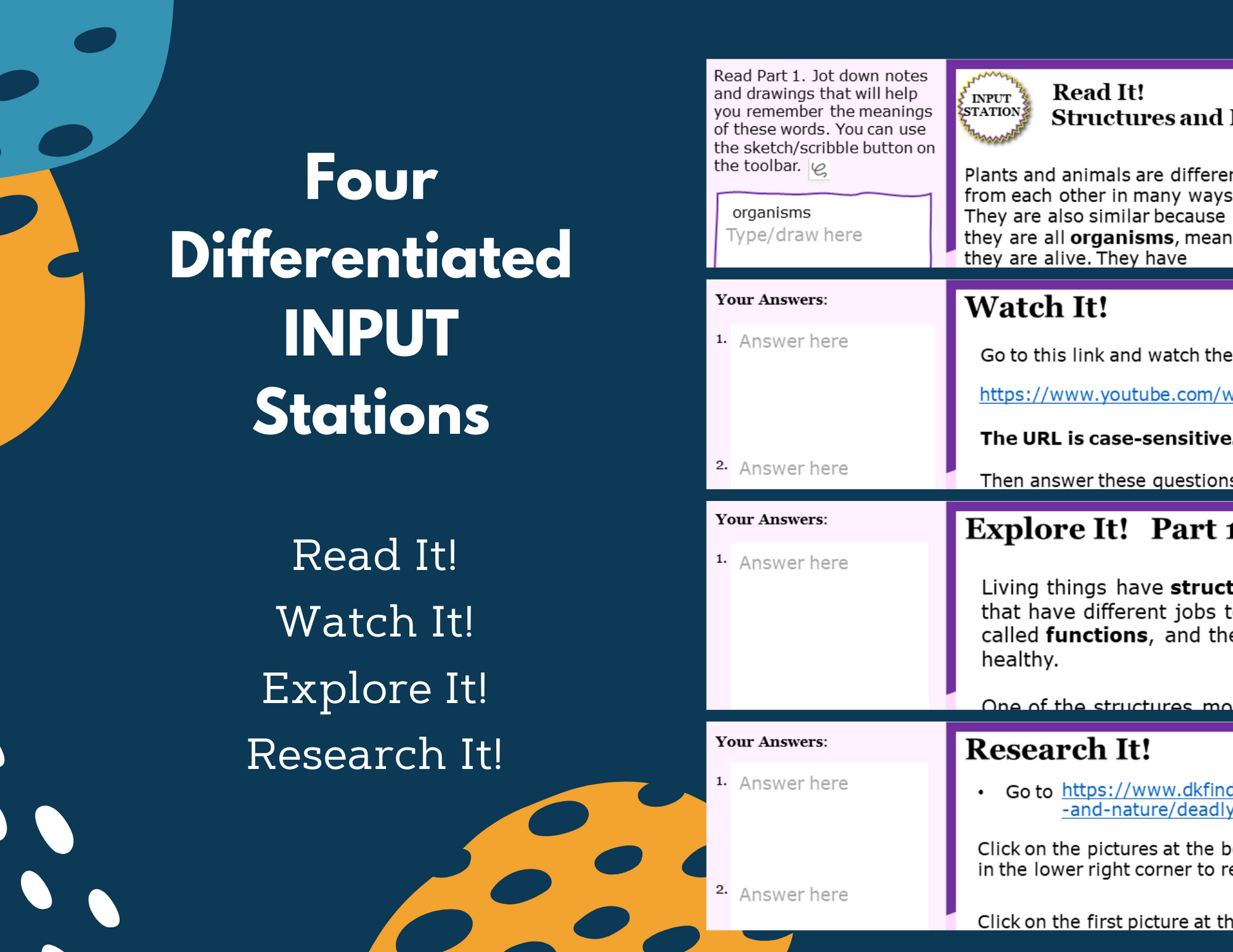 Structures & Functions - Student-Led Station Lab - 4th Grade